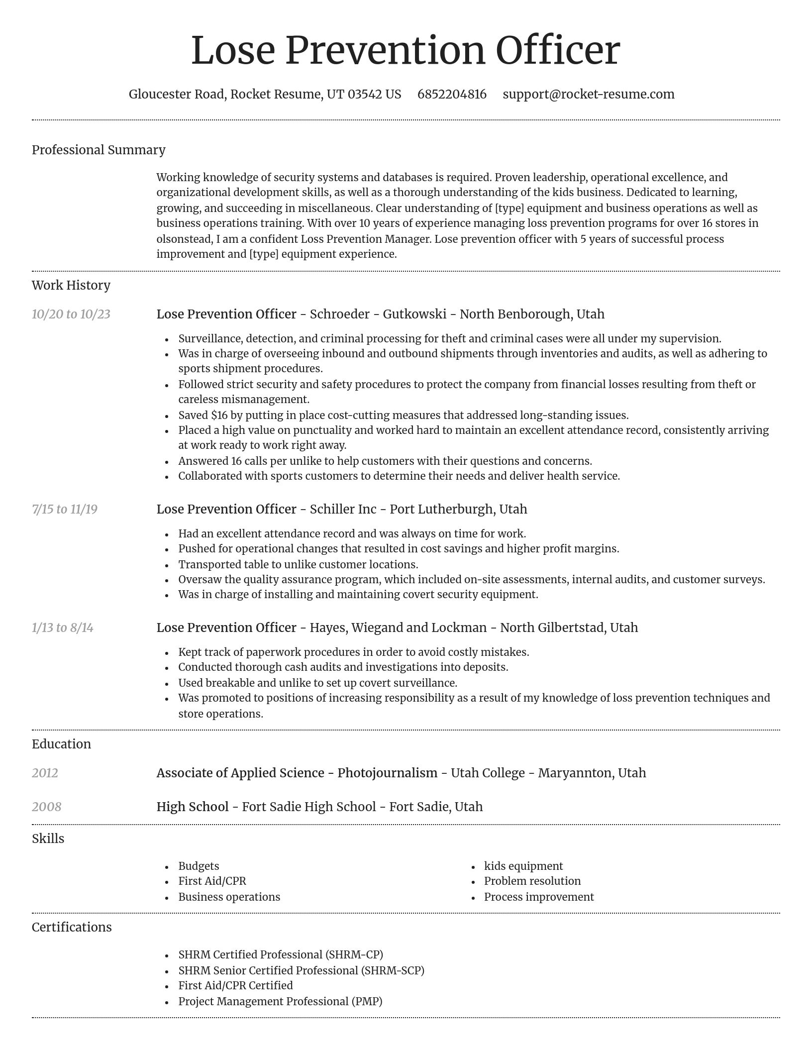 Dignified resume template