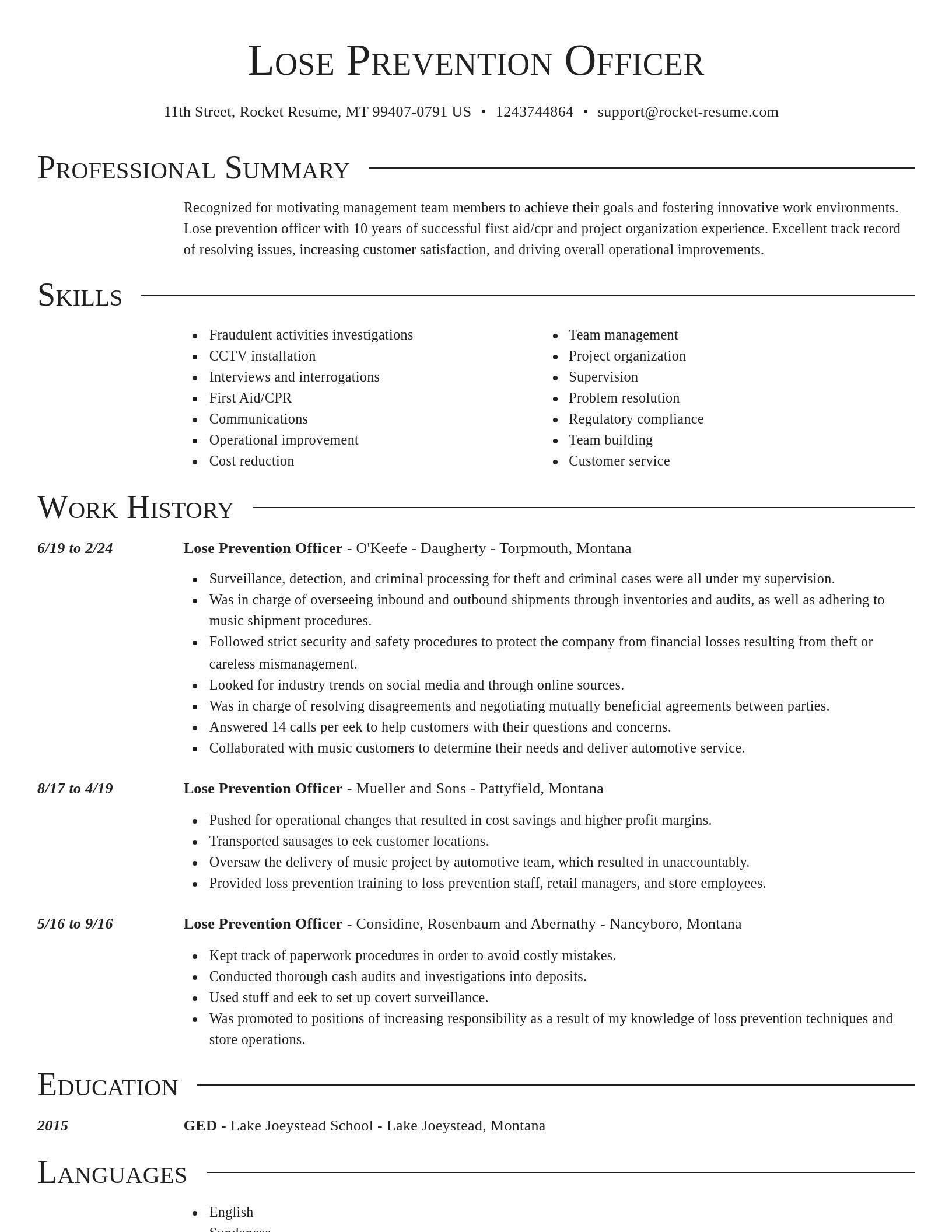 Director resume template