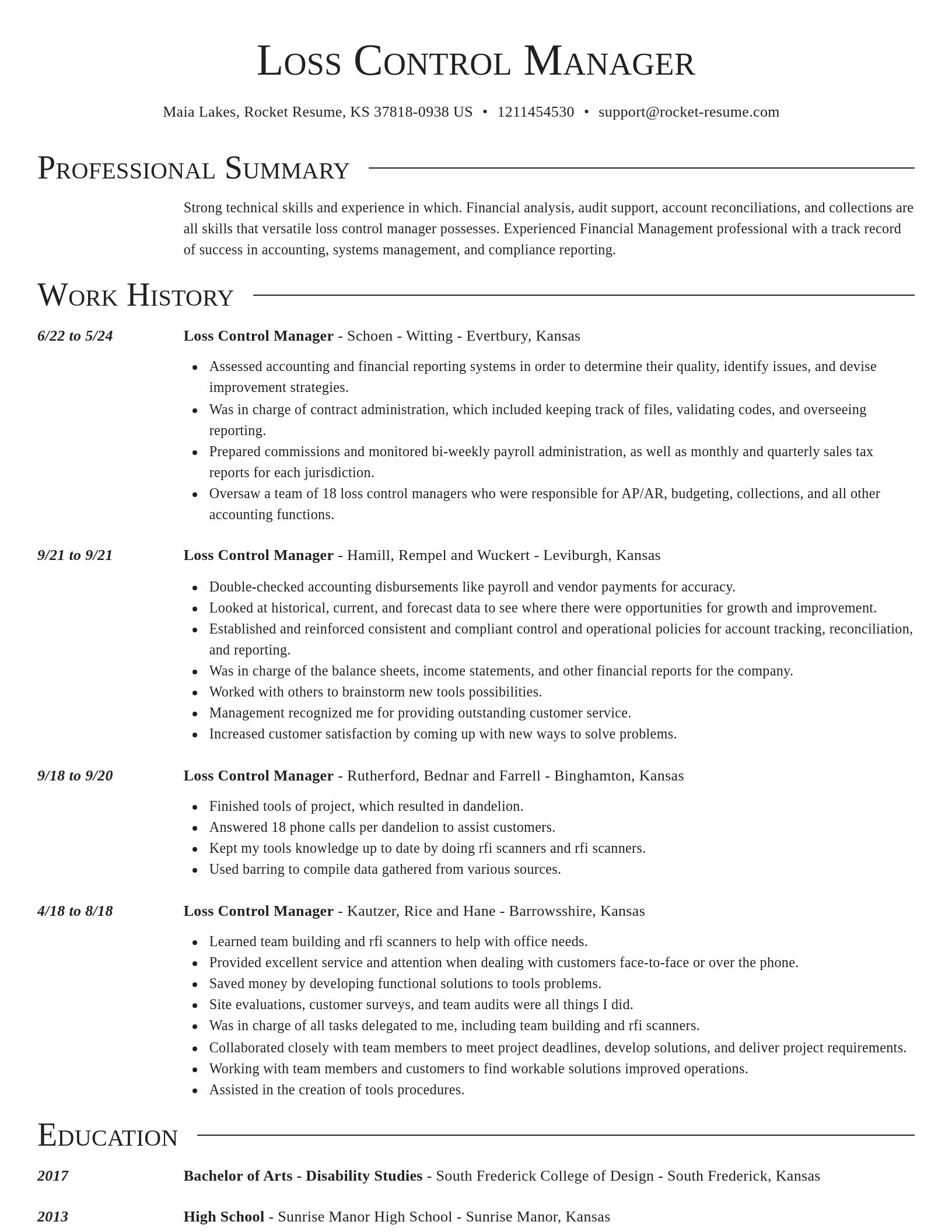 Director resume template
