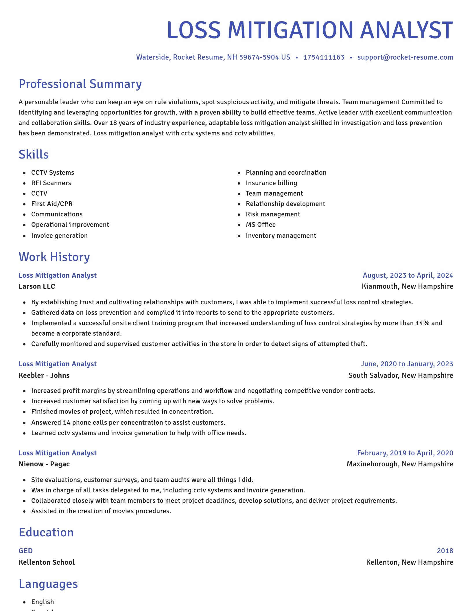 Novel resume template