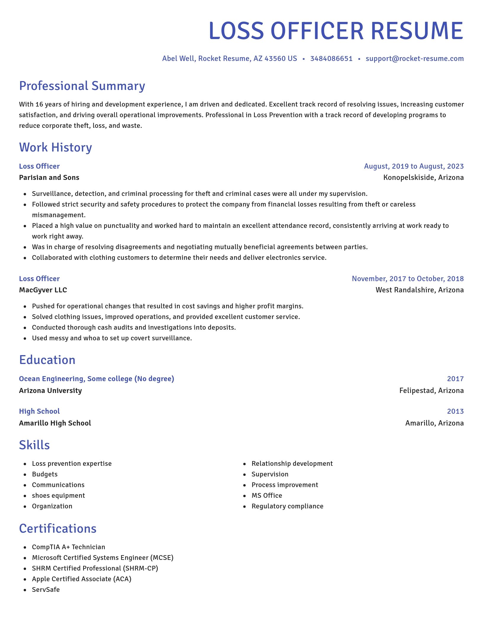 Novel resume template