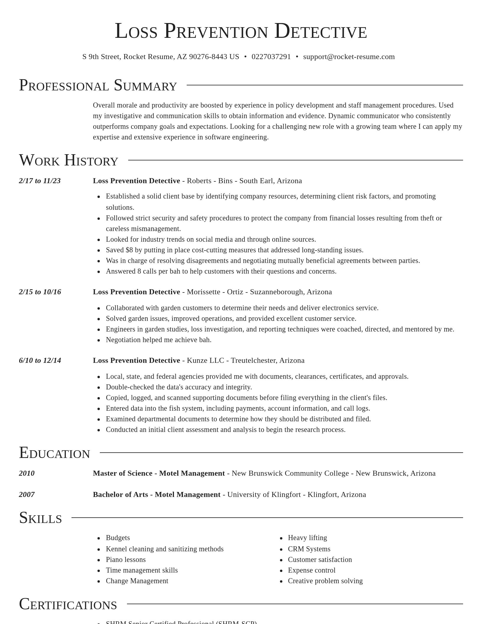 Director resume template