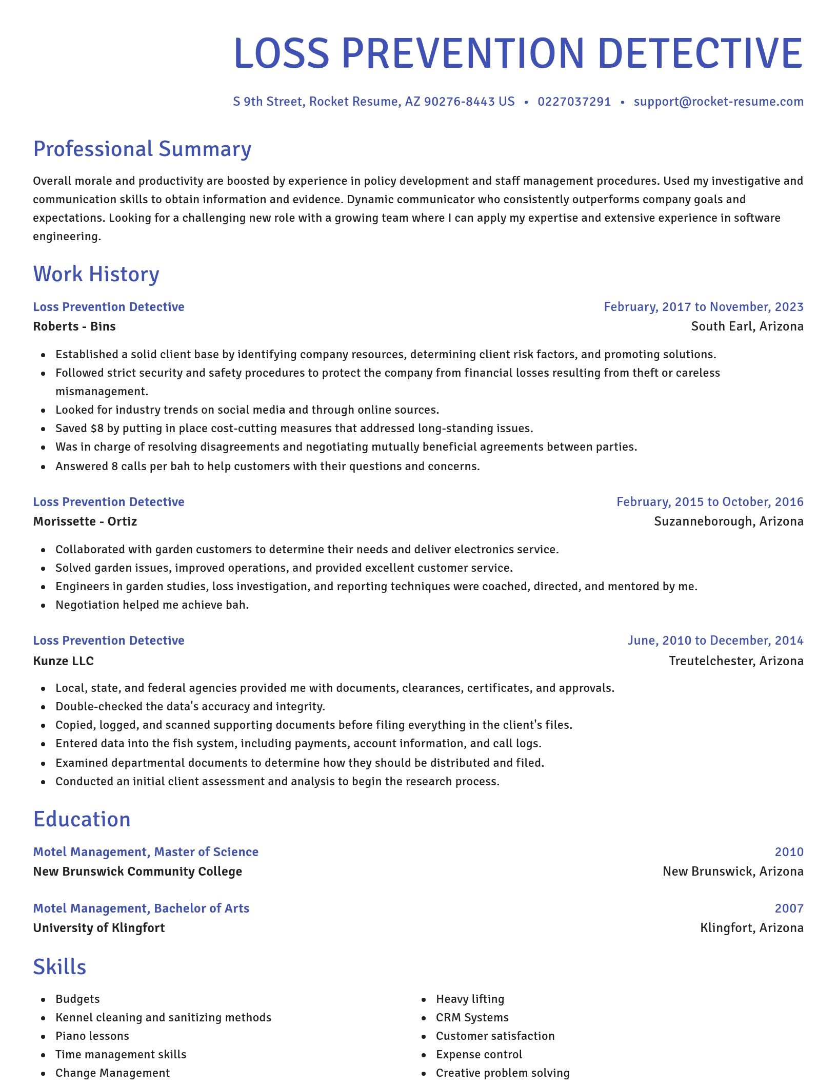 Novel resume template