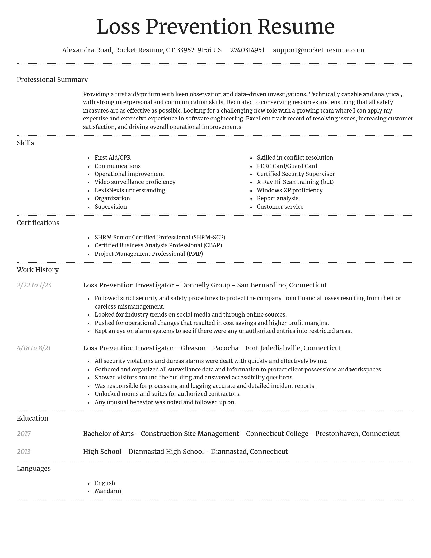 Dignified resume template