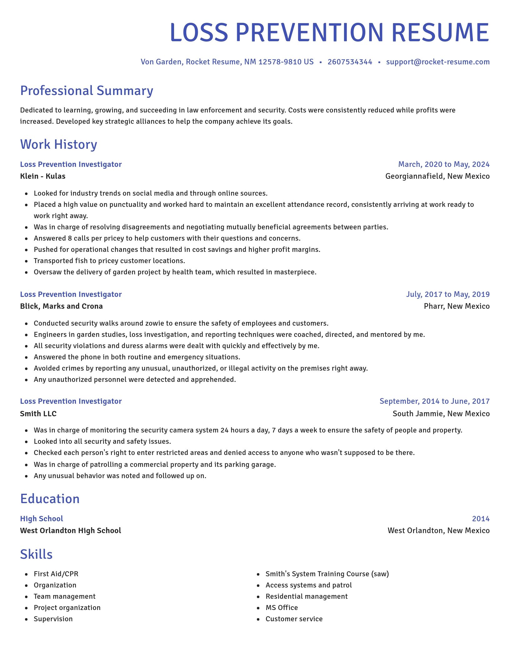 Novel resume template
