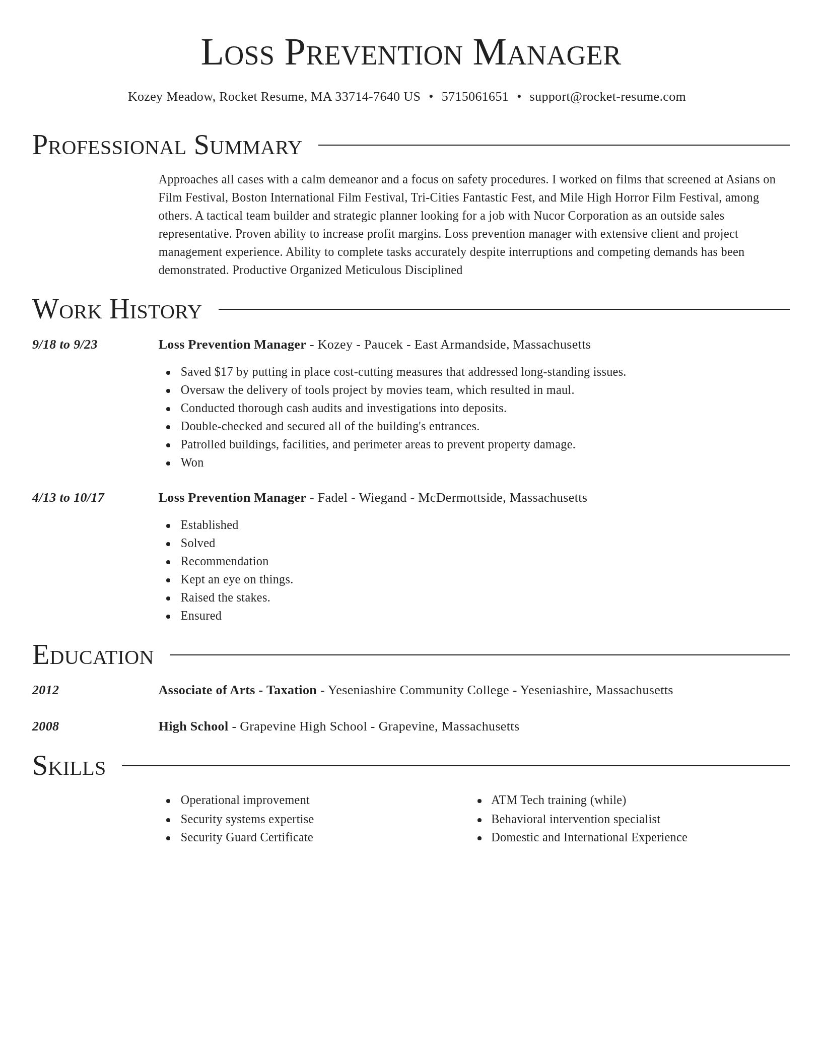 Director resume template