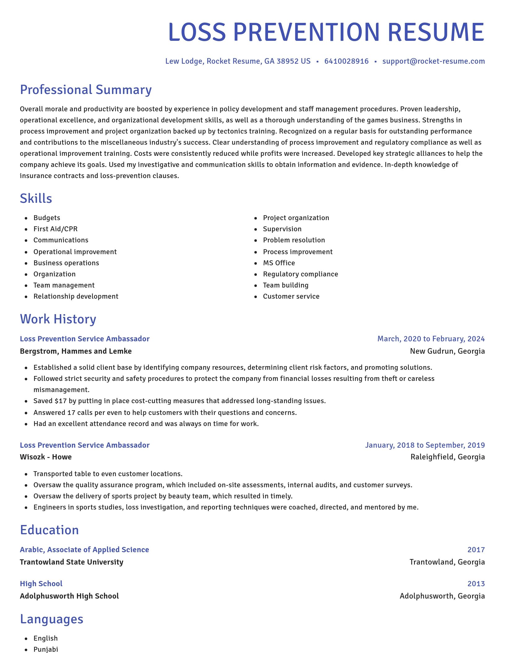 Novel resume template