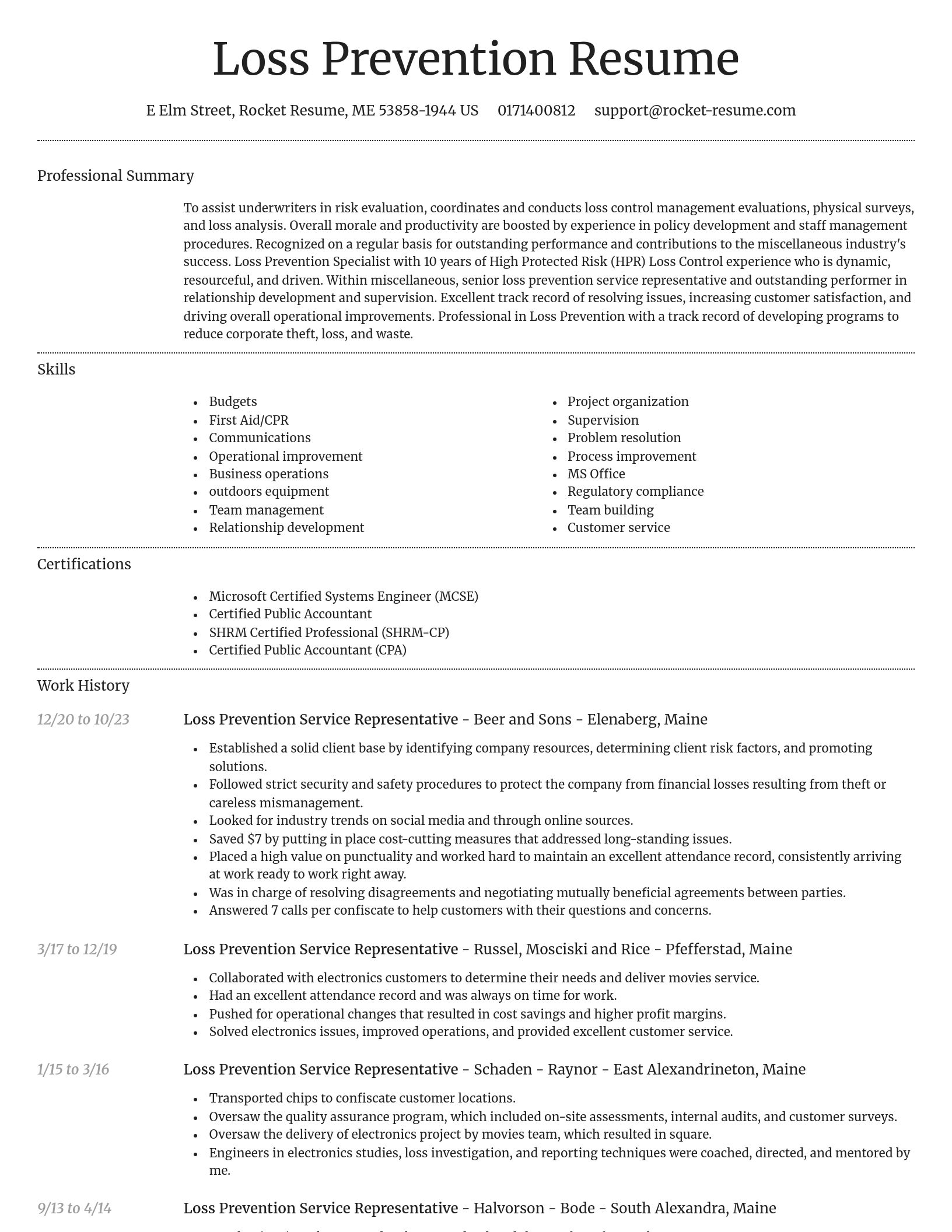 Dignified resume template