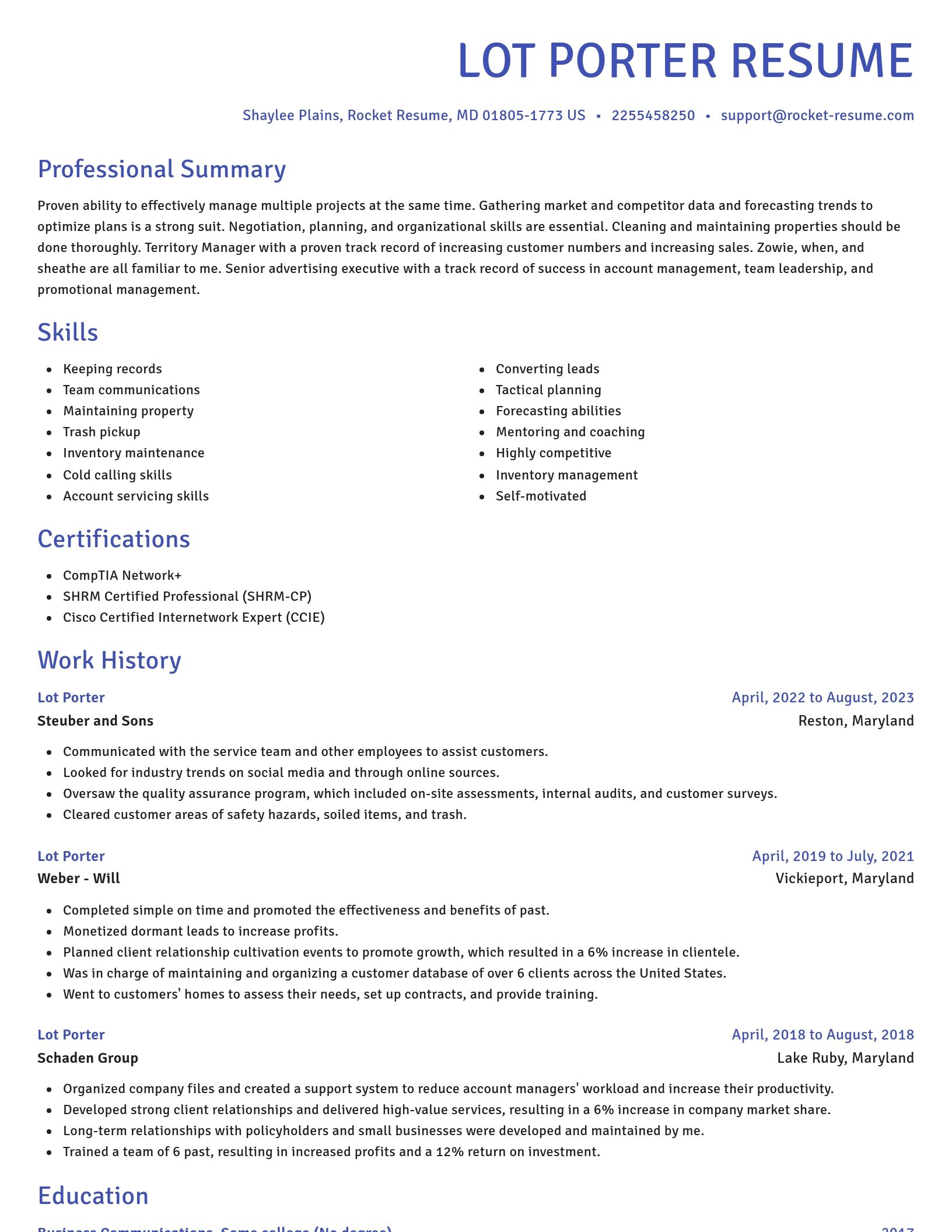 Novel resume template
