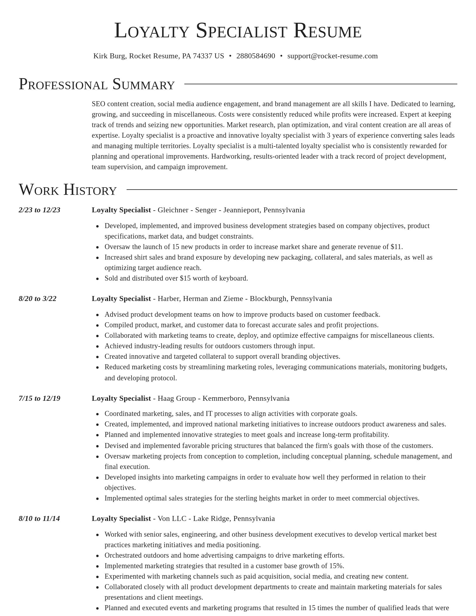 Director resume template