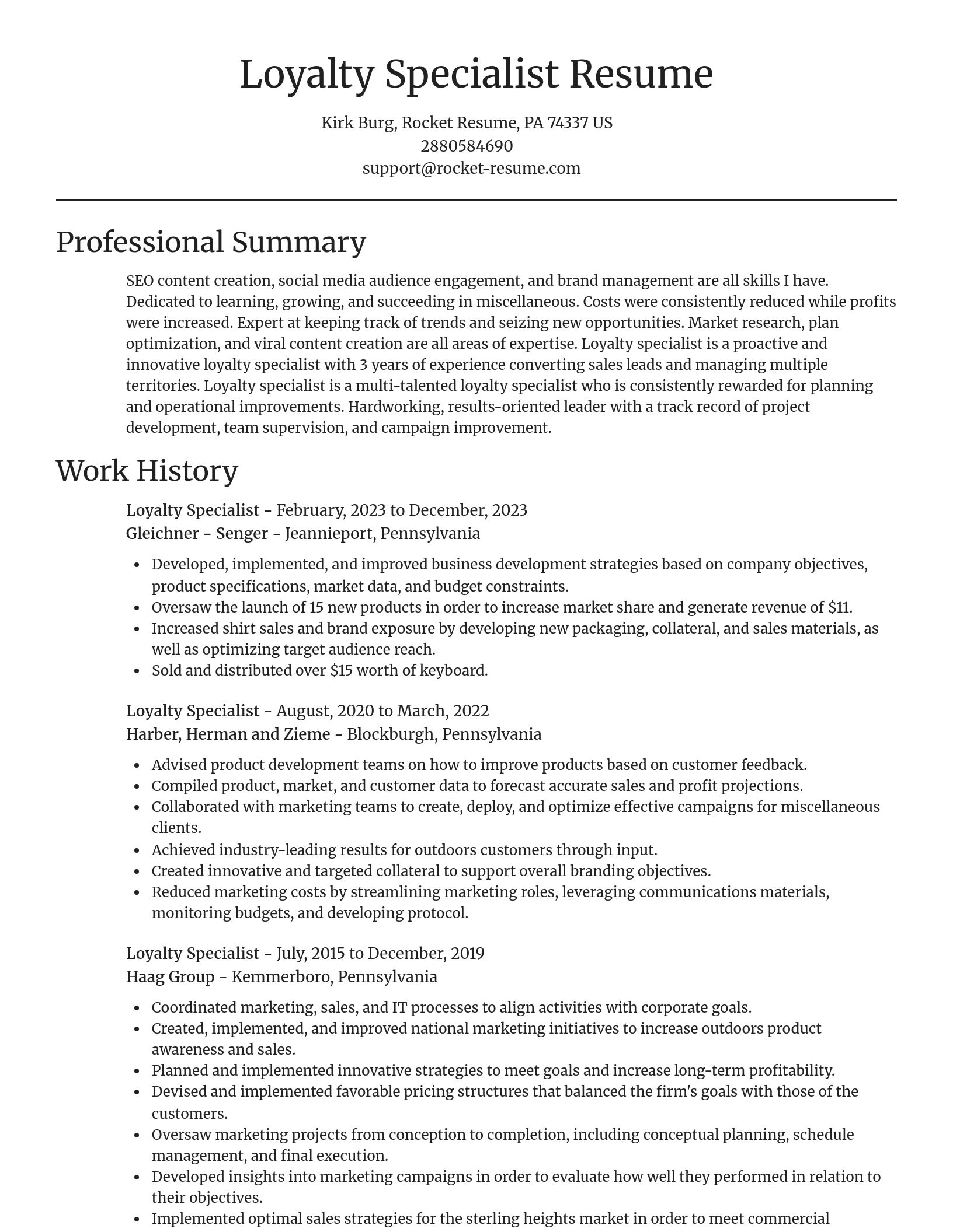 Focal Point resume template