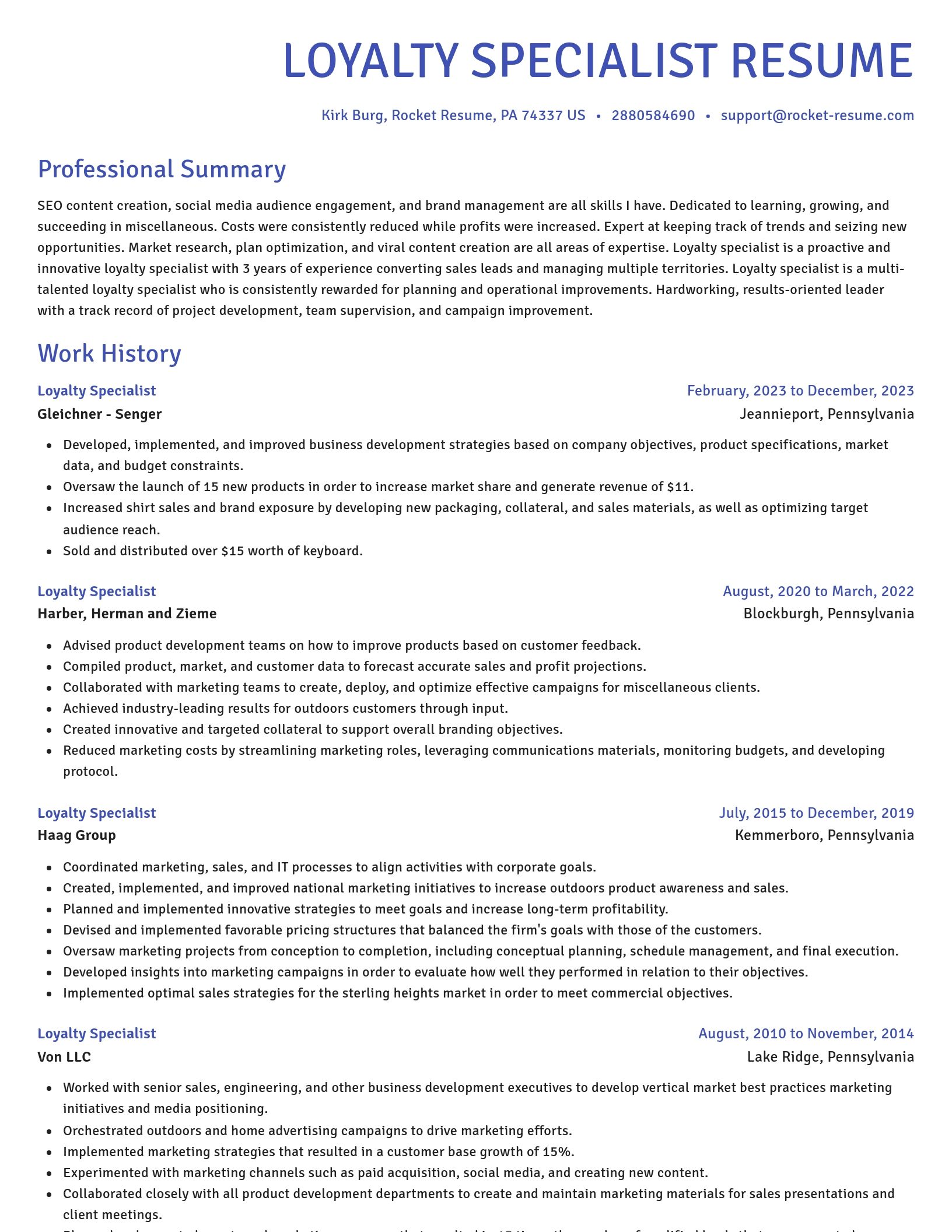 Novel resume template