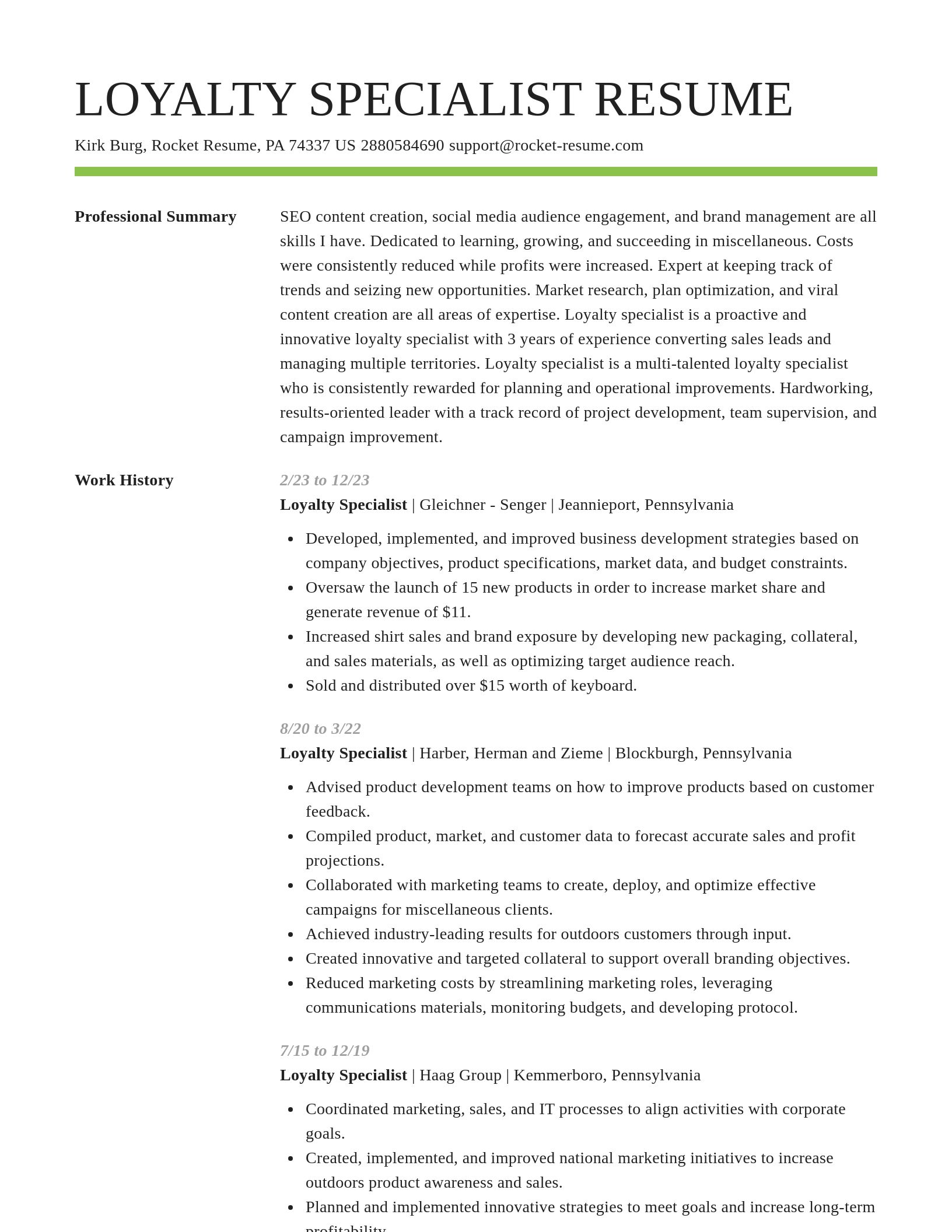 Smart resume template