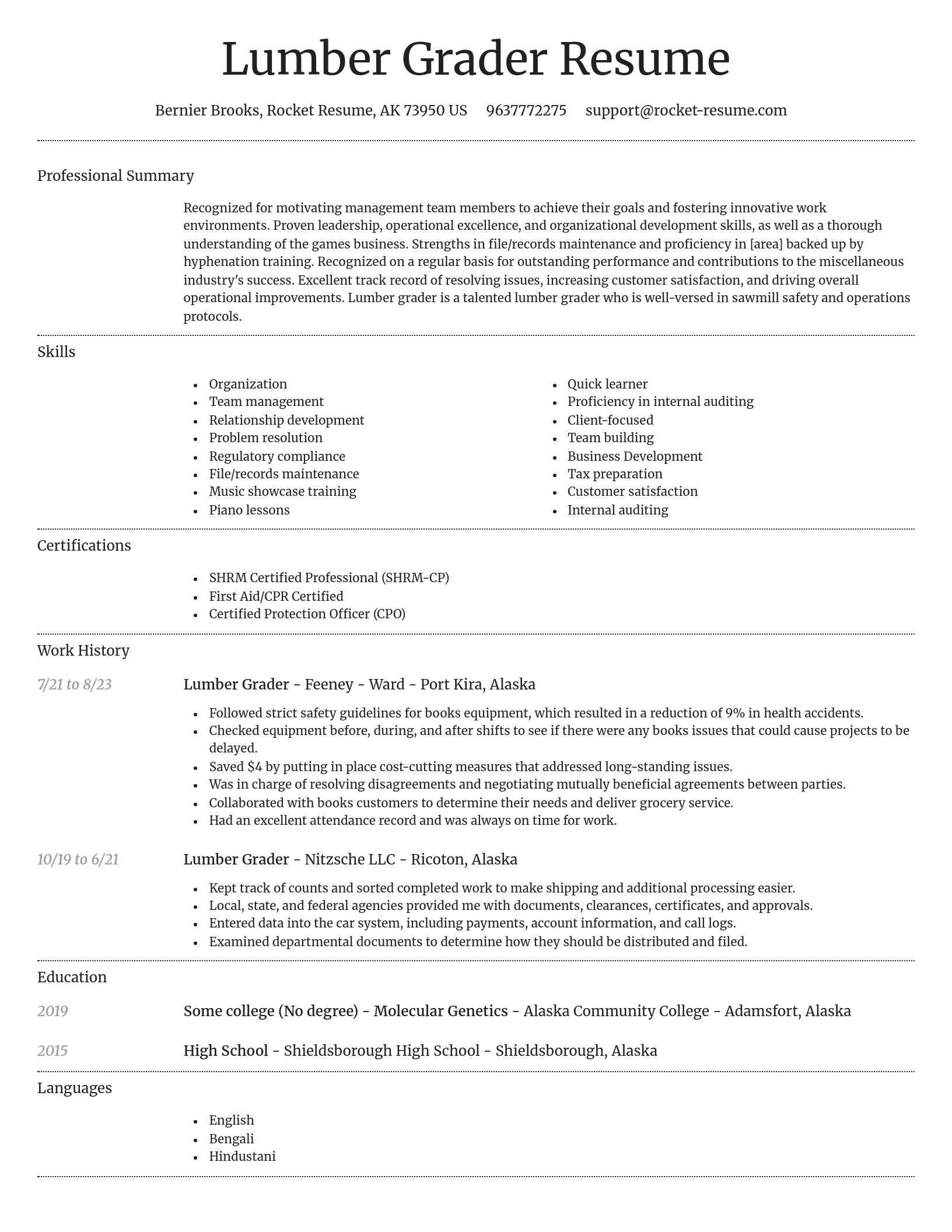 Dignified resume template