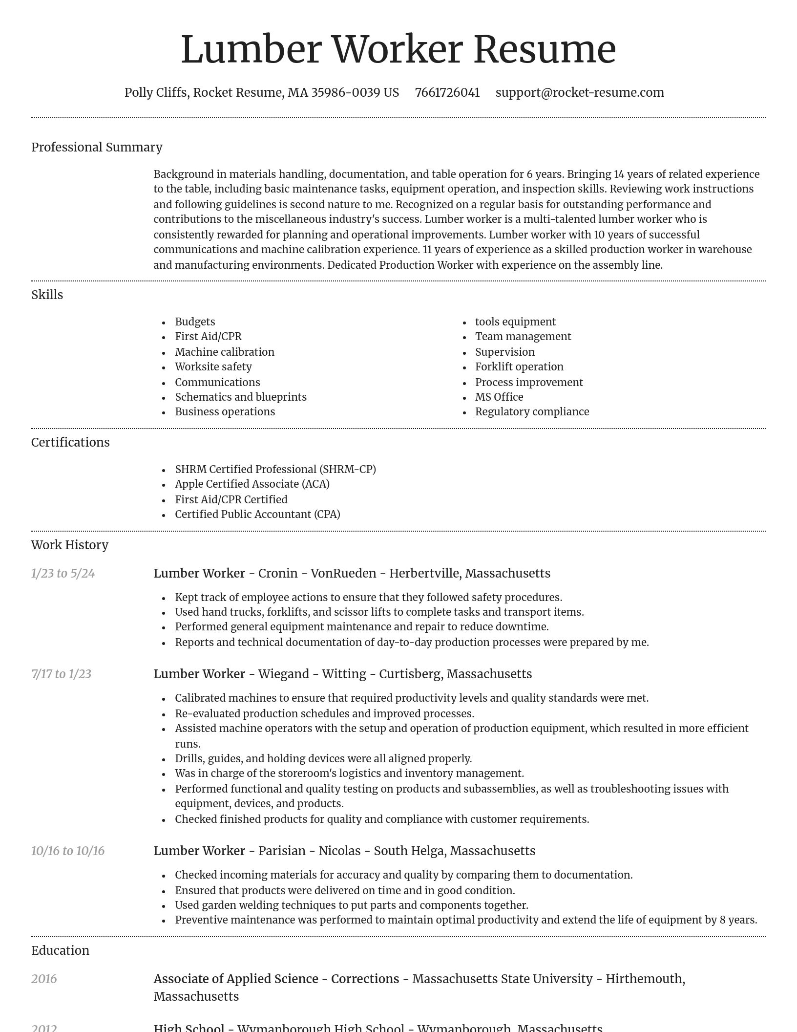 Dignified resume template