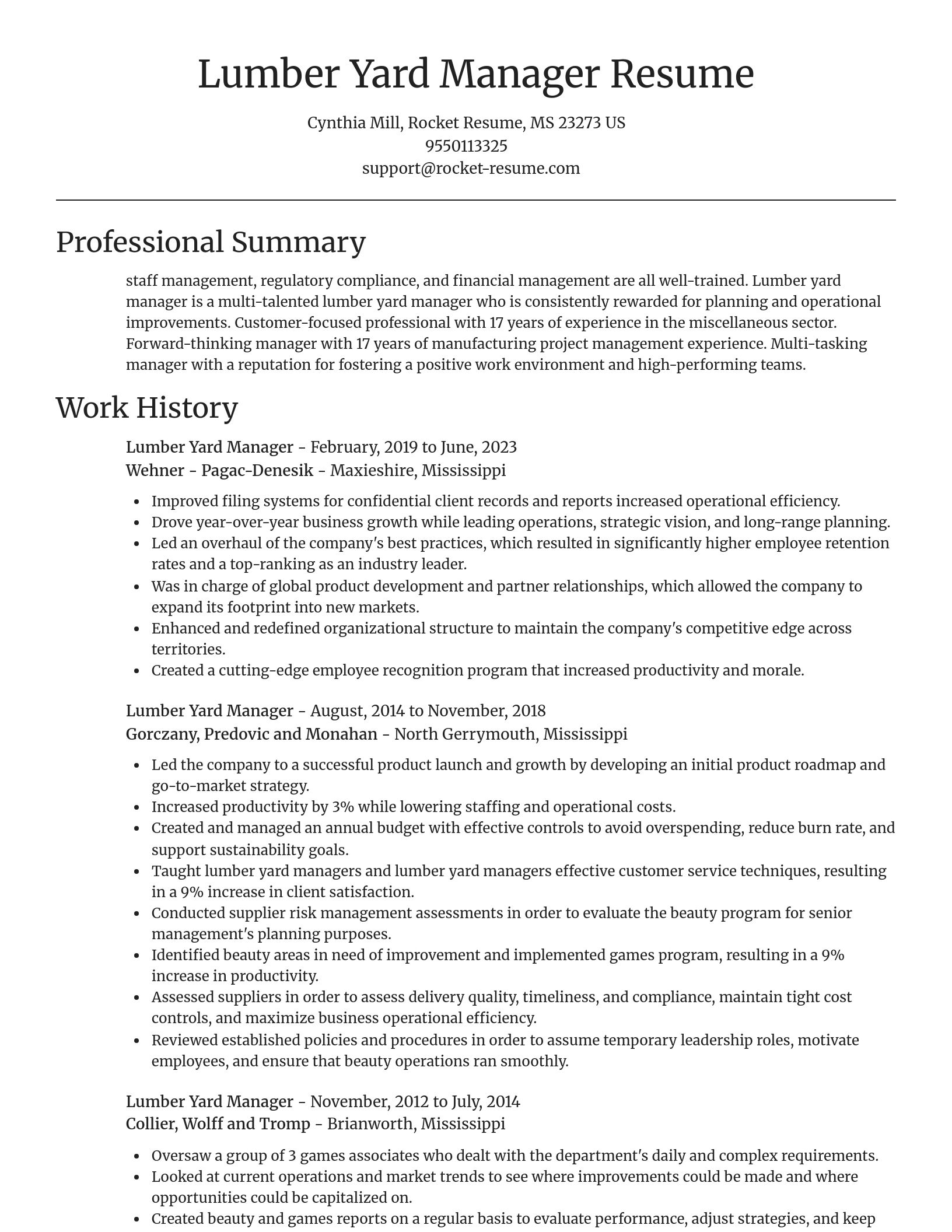 Focal Point resume template