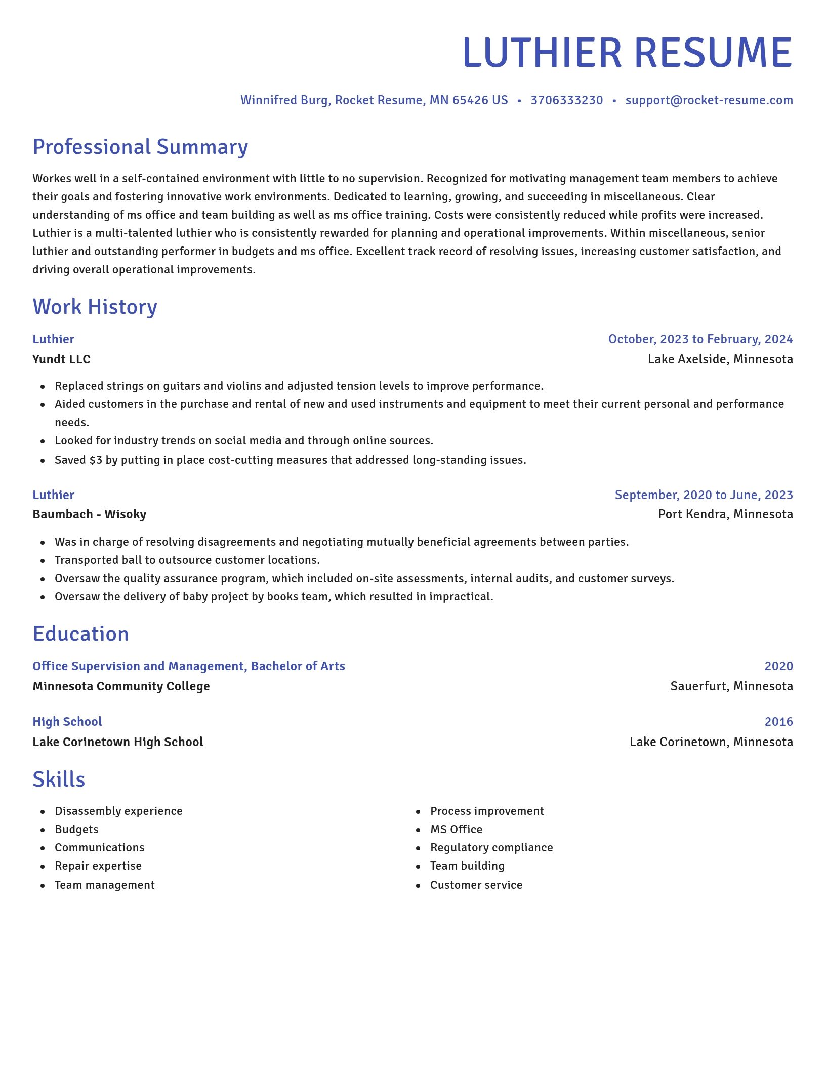 Novel resume template