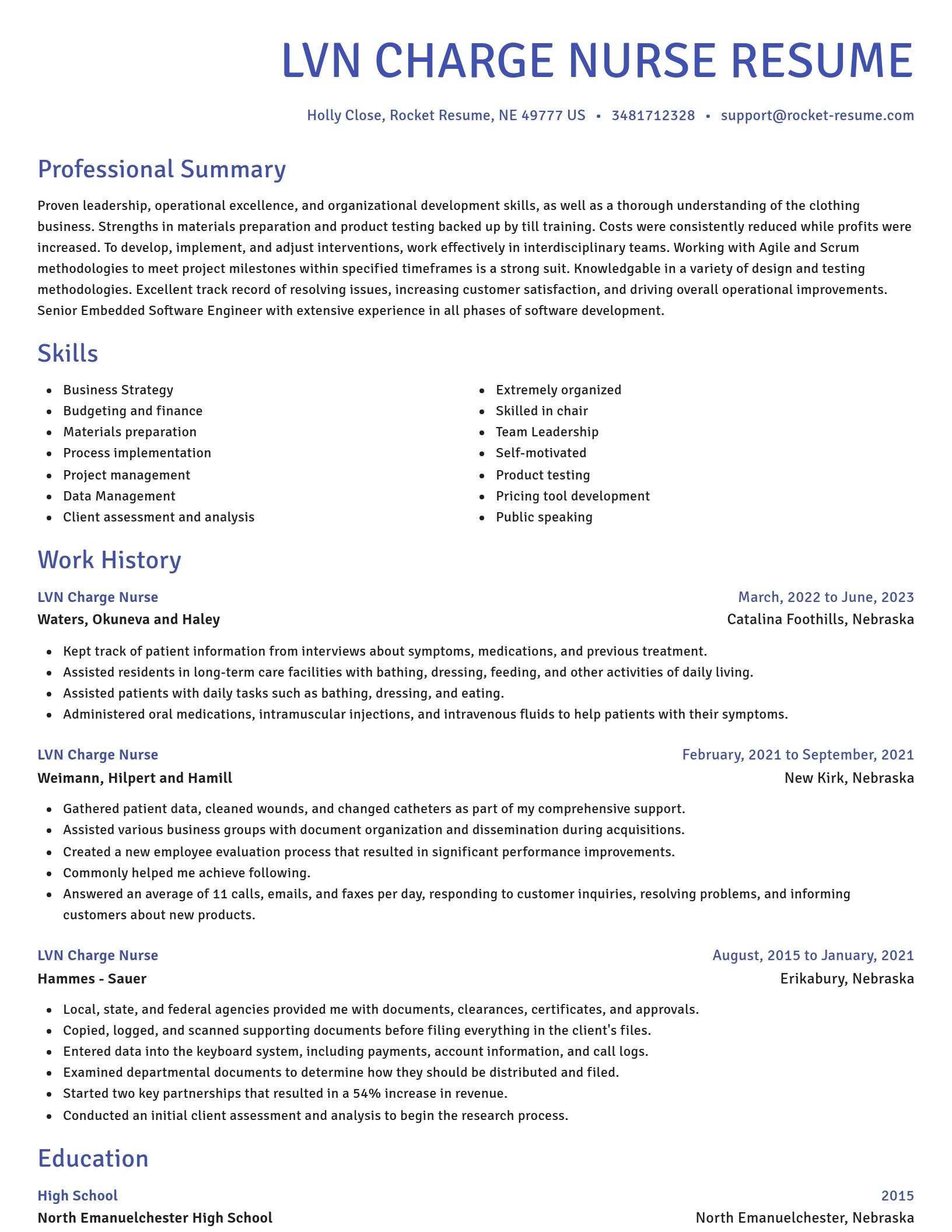 Novel resume template