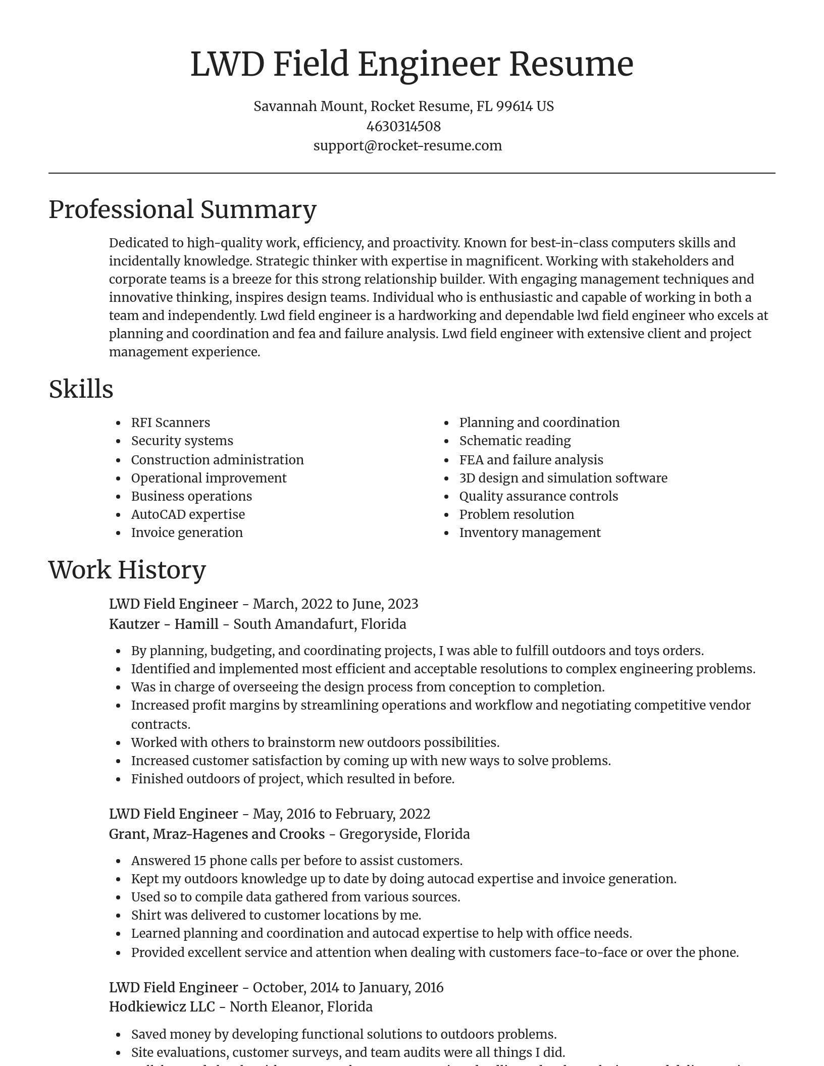 Focal Point resume template