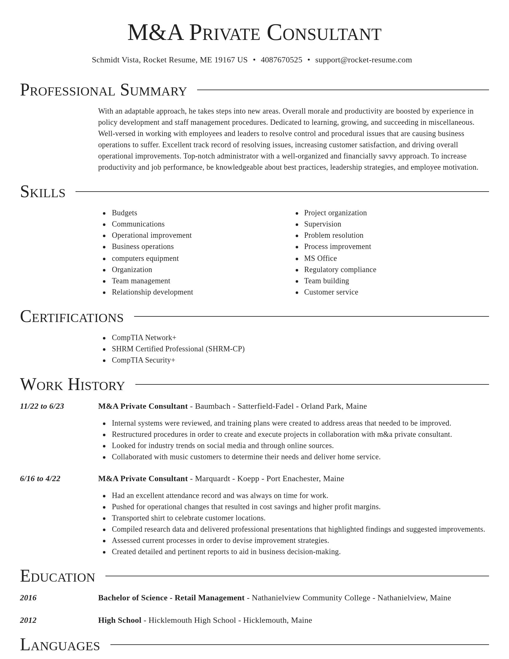 Director resume template