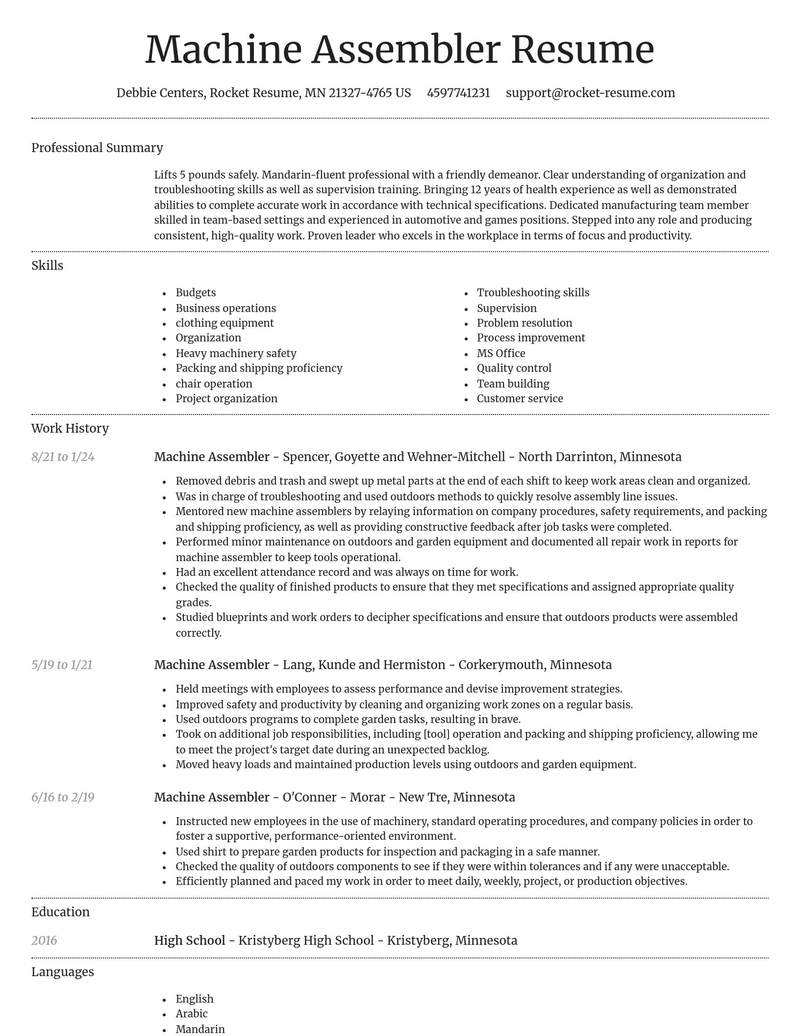 Dignified resume template