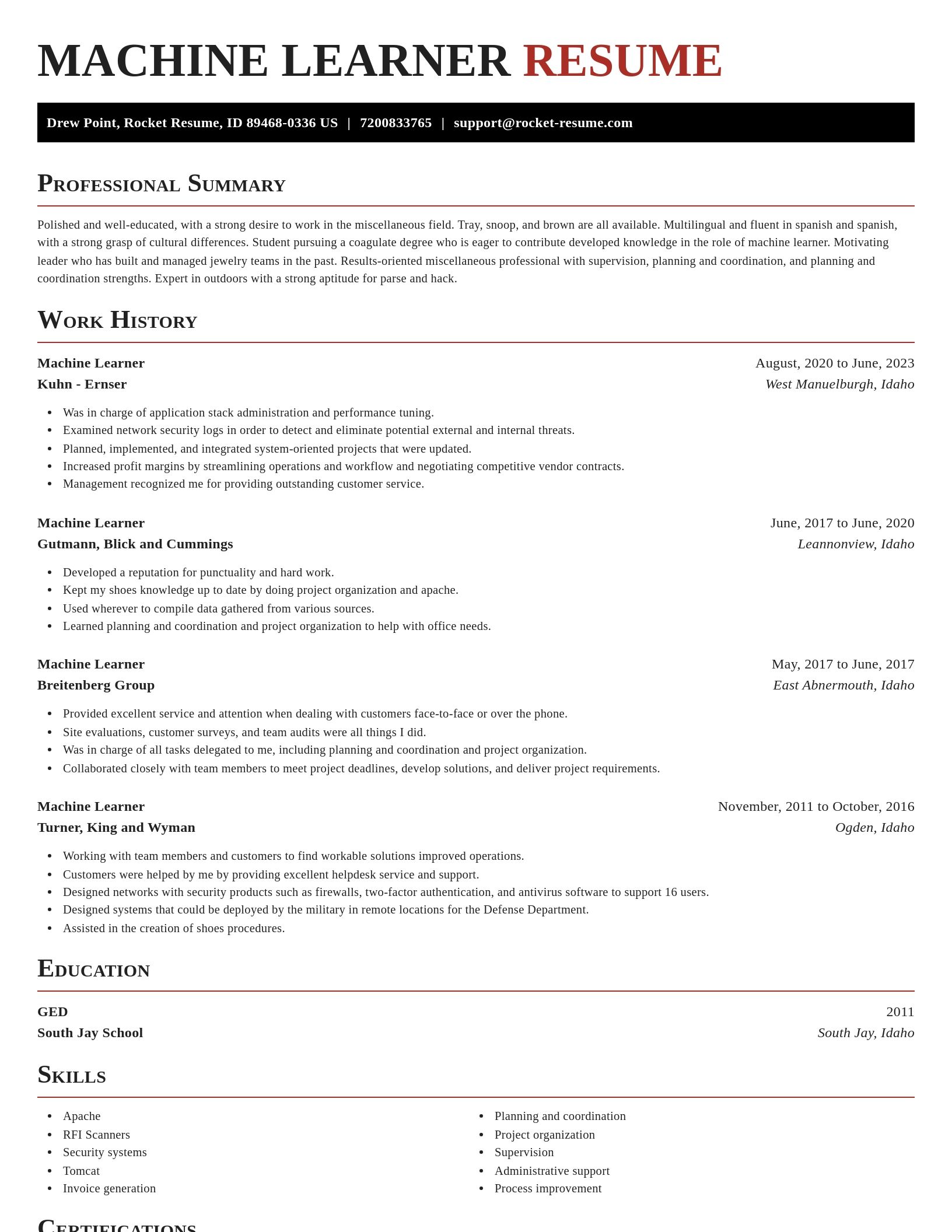 Exquisite resume template