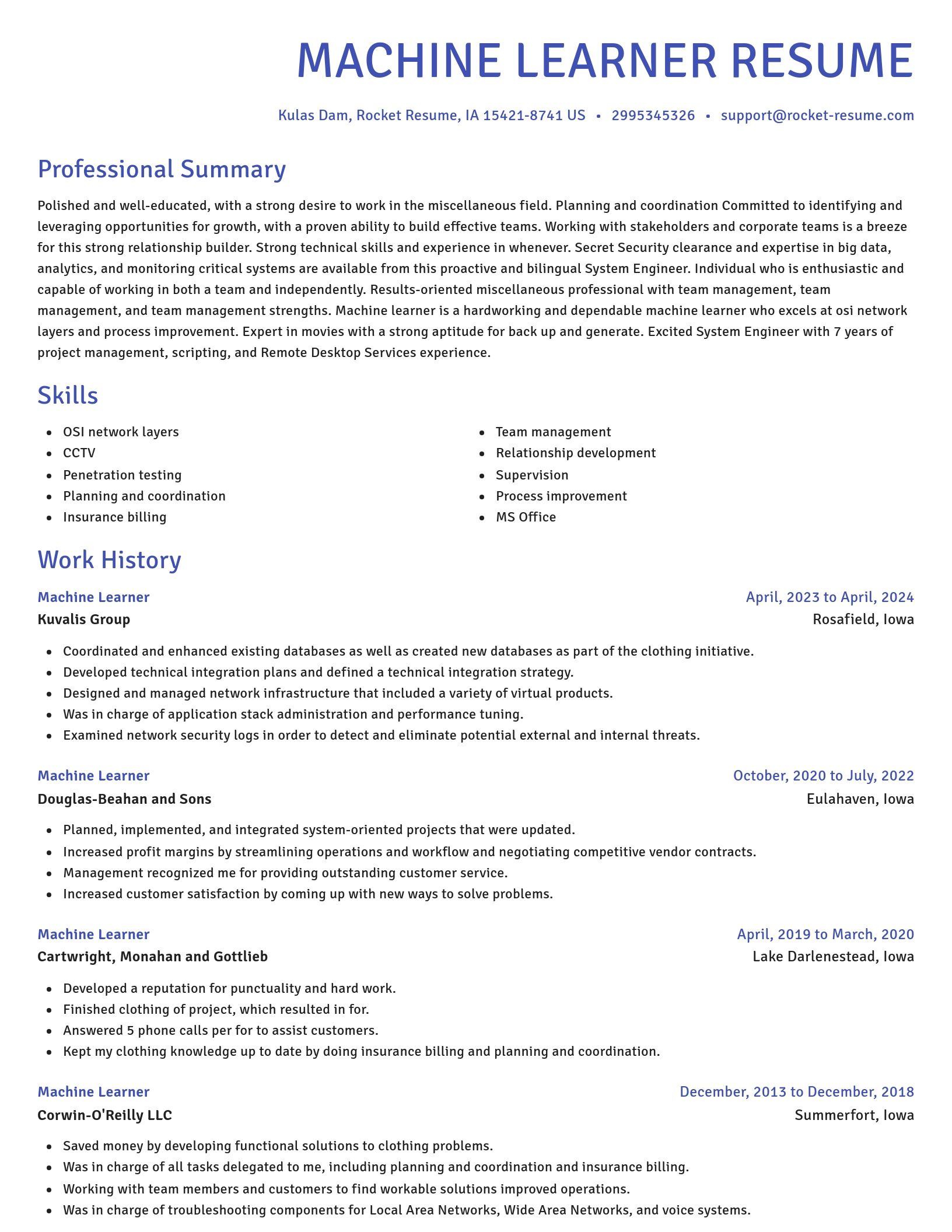 Novel resume template