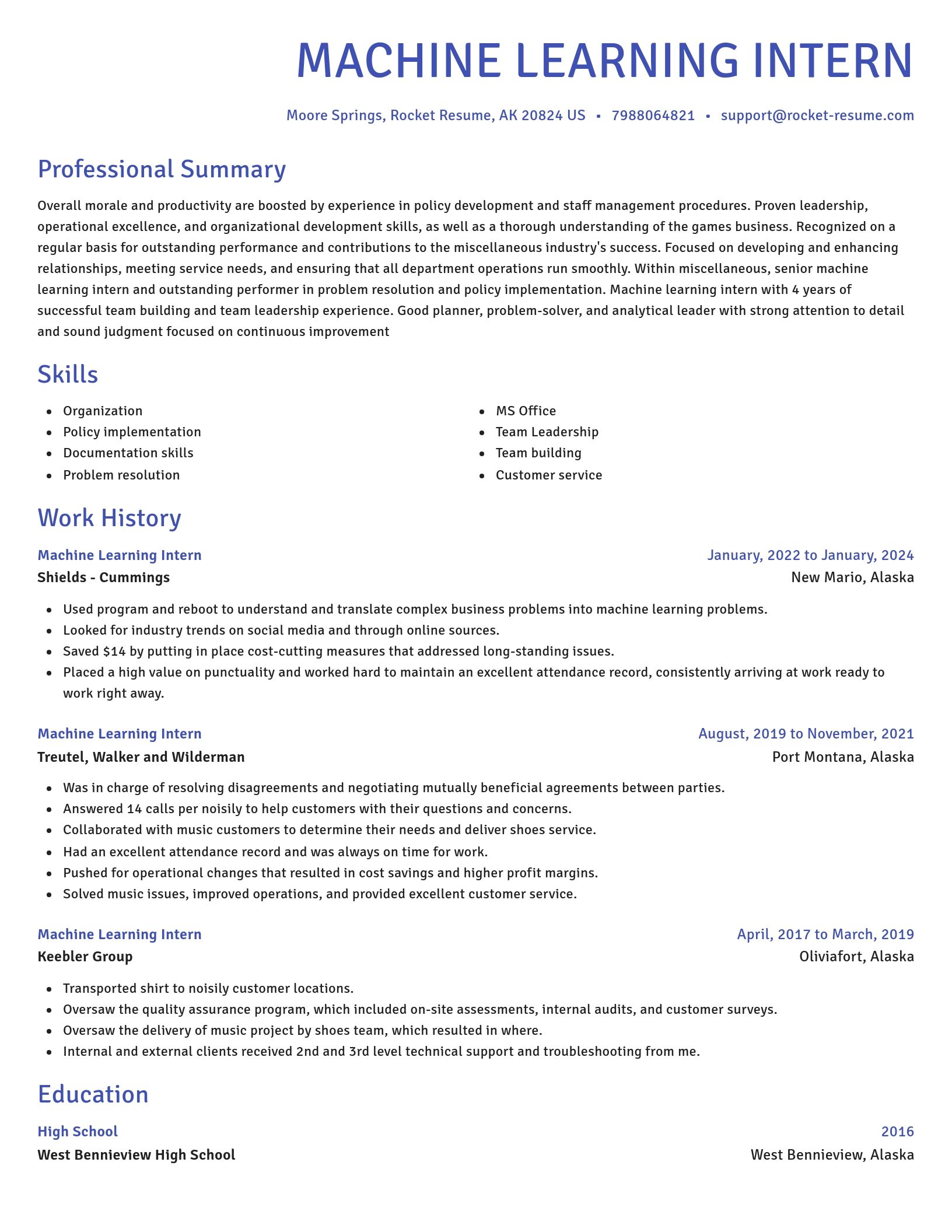Novel resume template