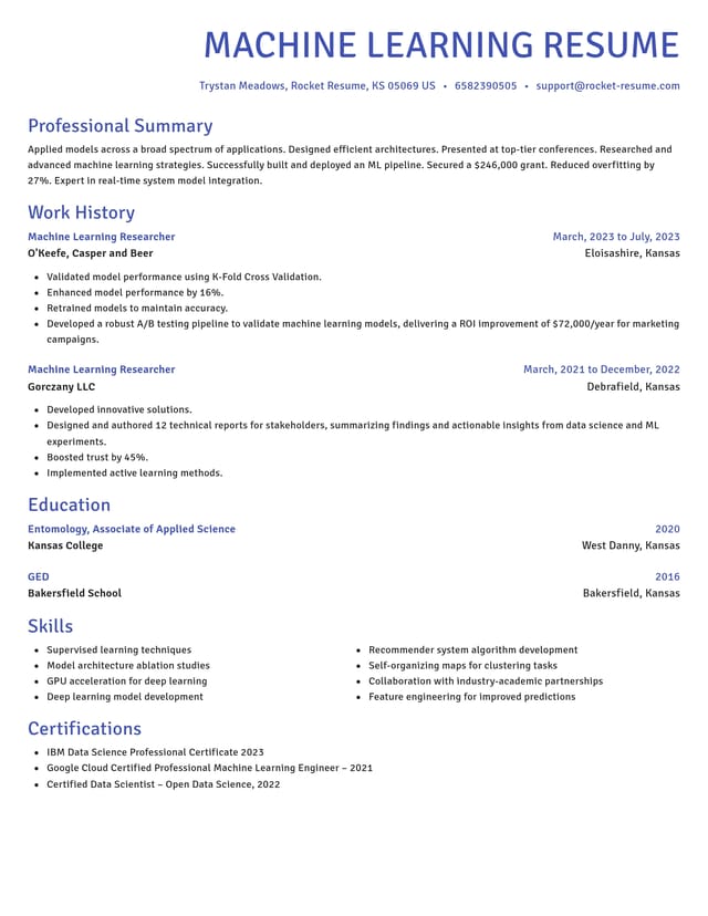 Novel resume template