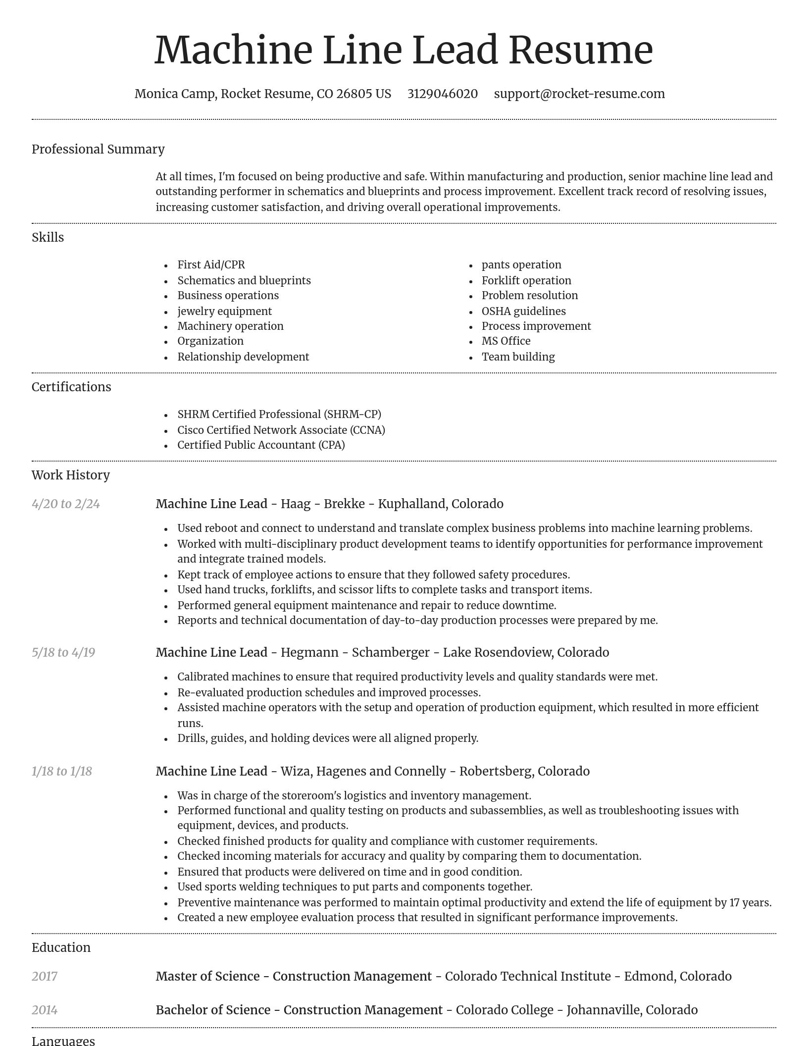 Dignified resume template