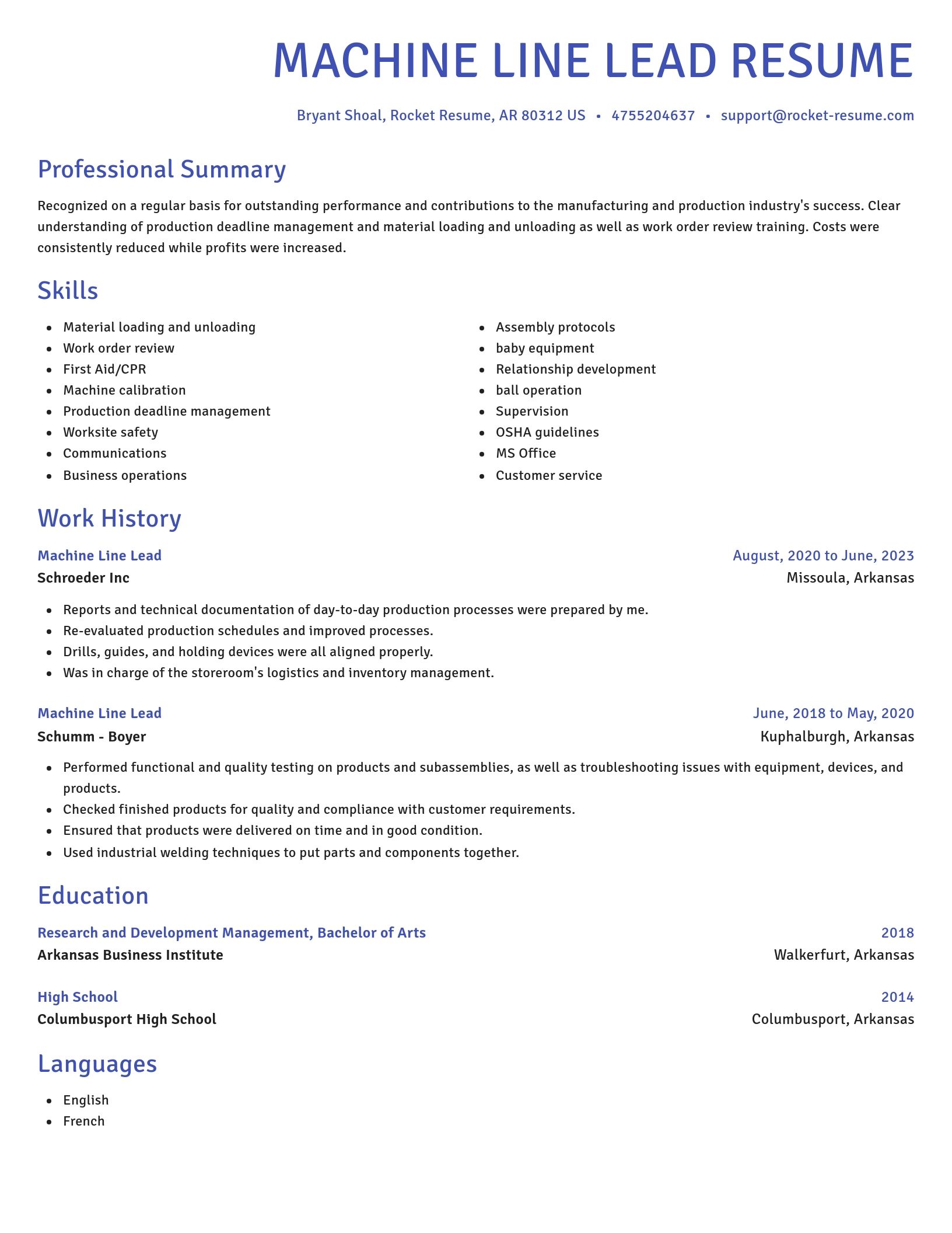Novel resume template