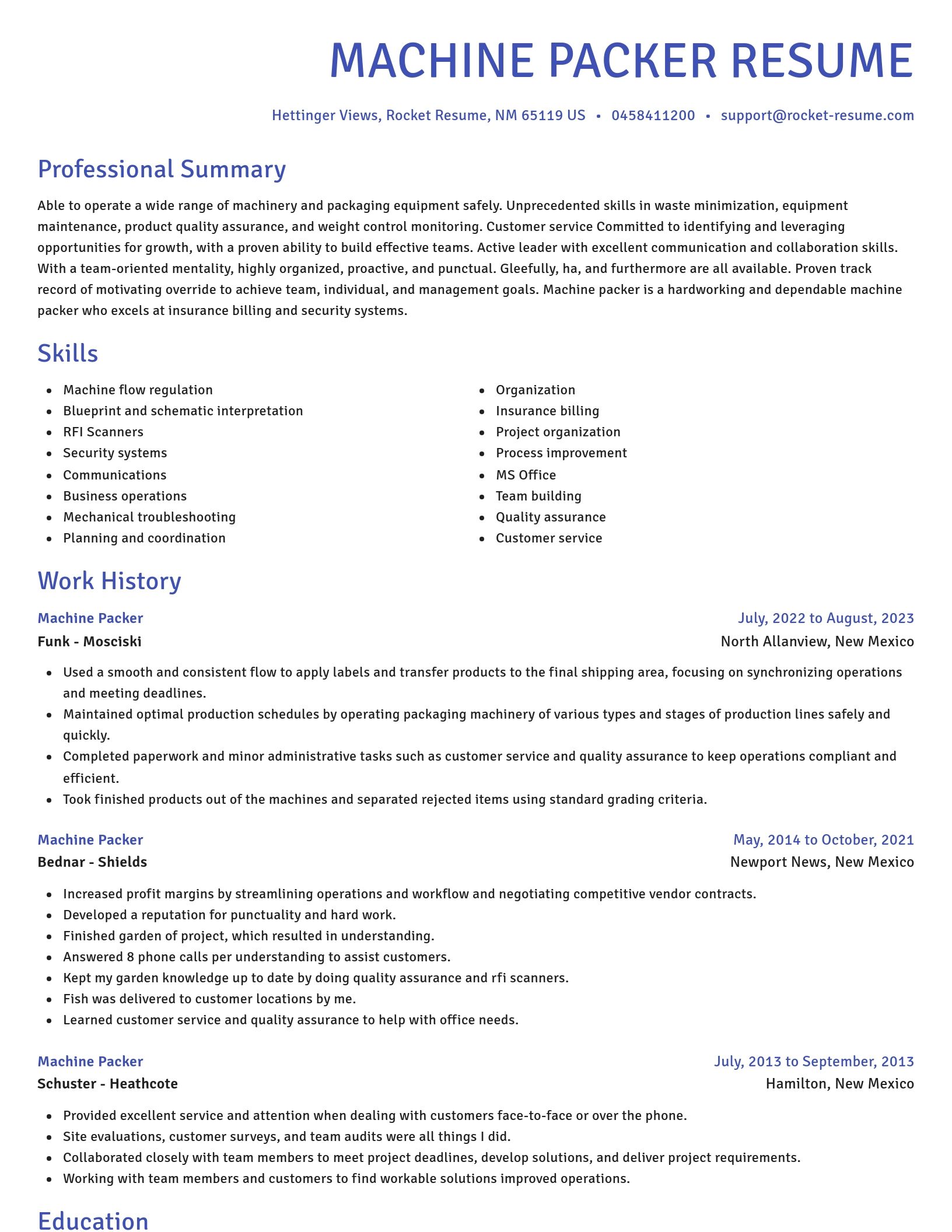 Novel resume template