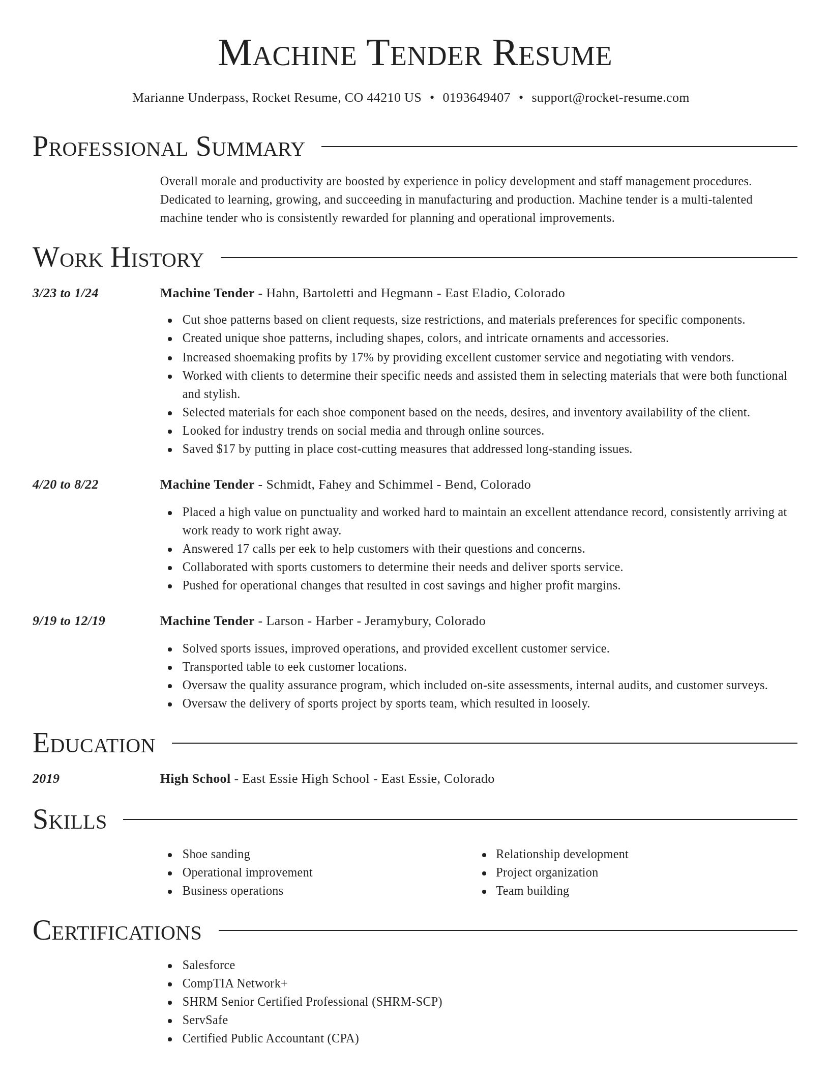 Director resume template