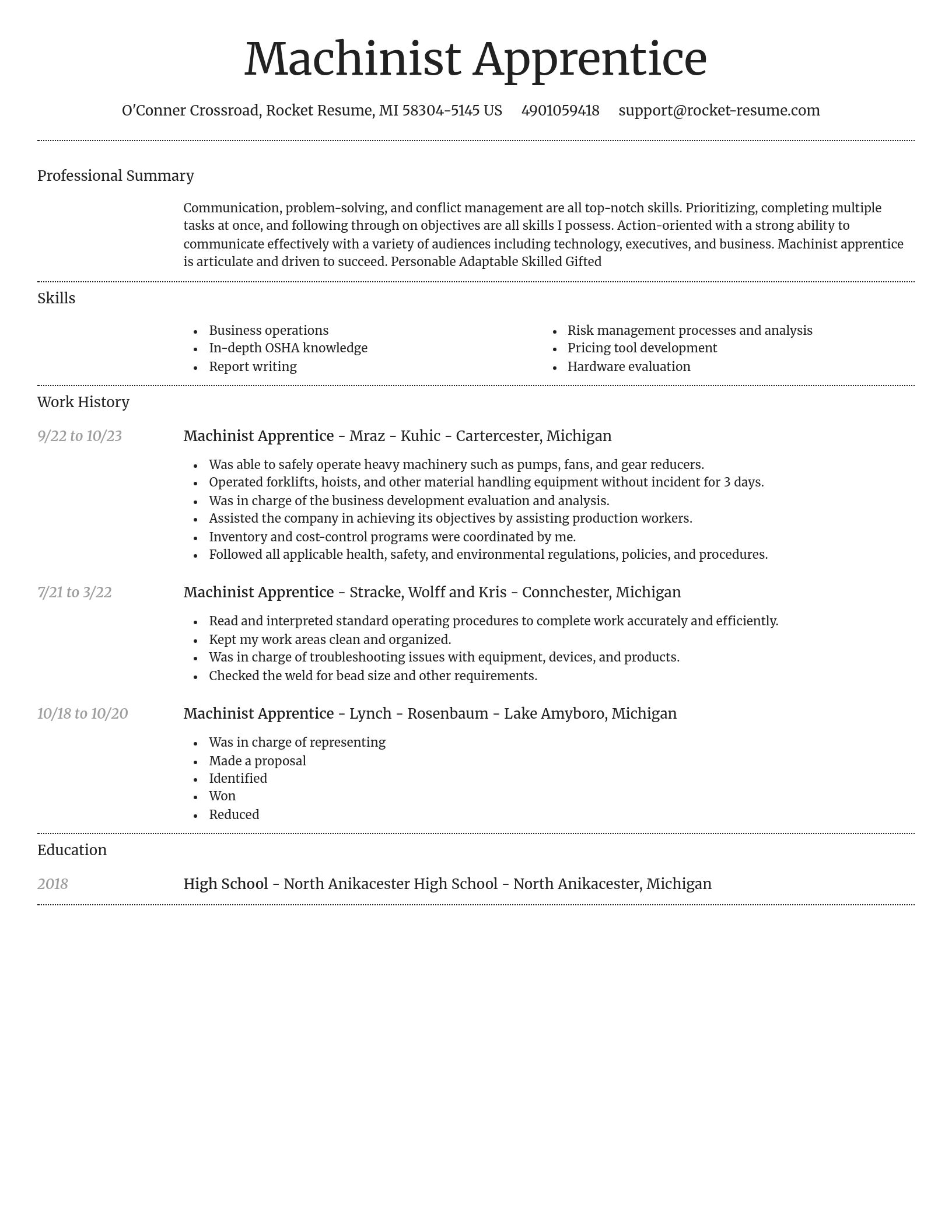 Dignified resume template