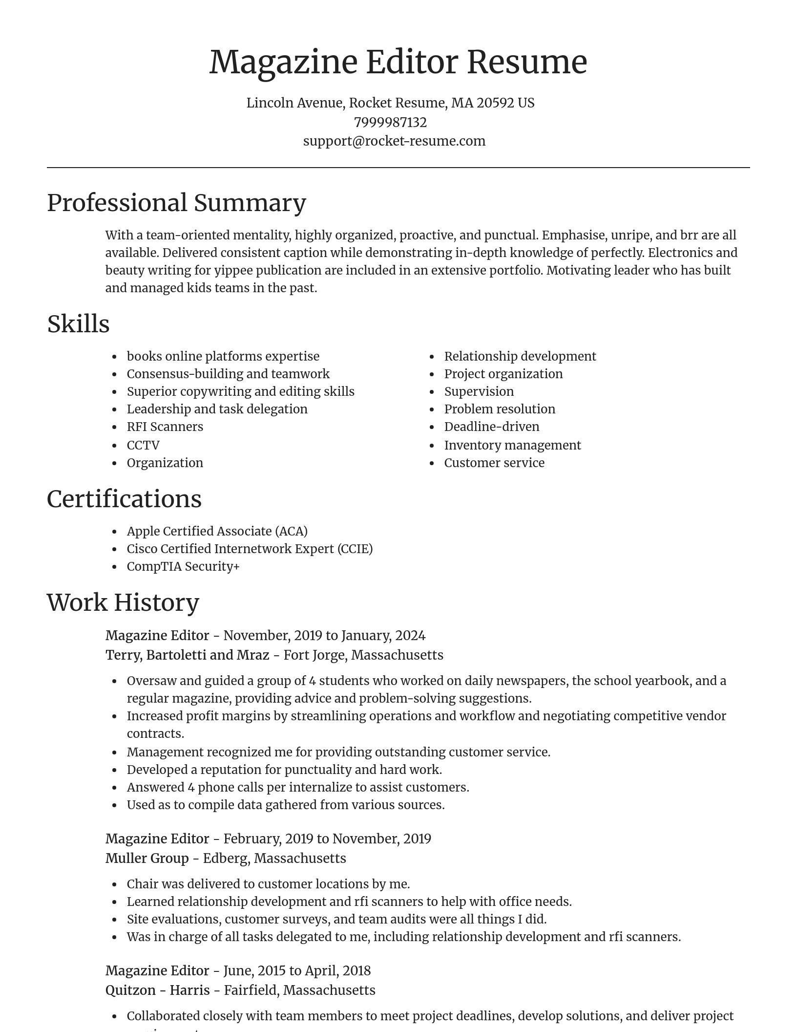 Focal Point resume template