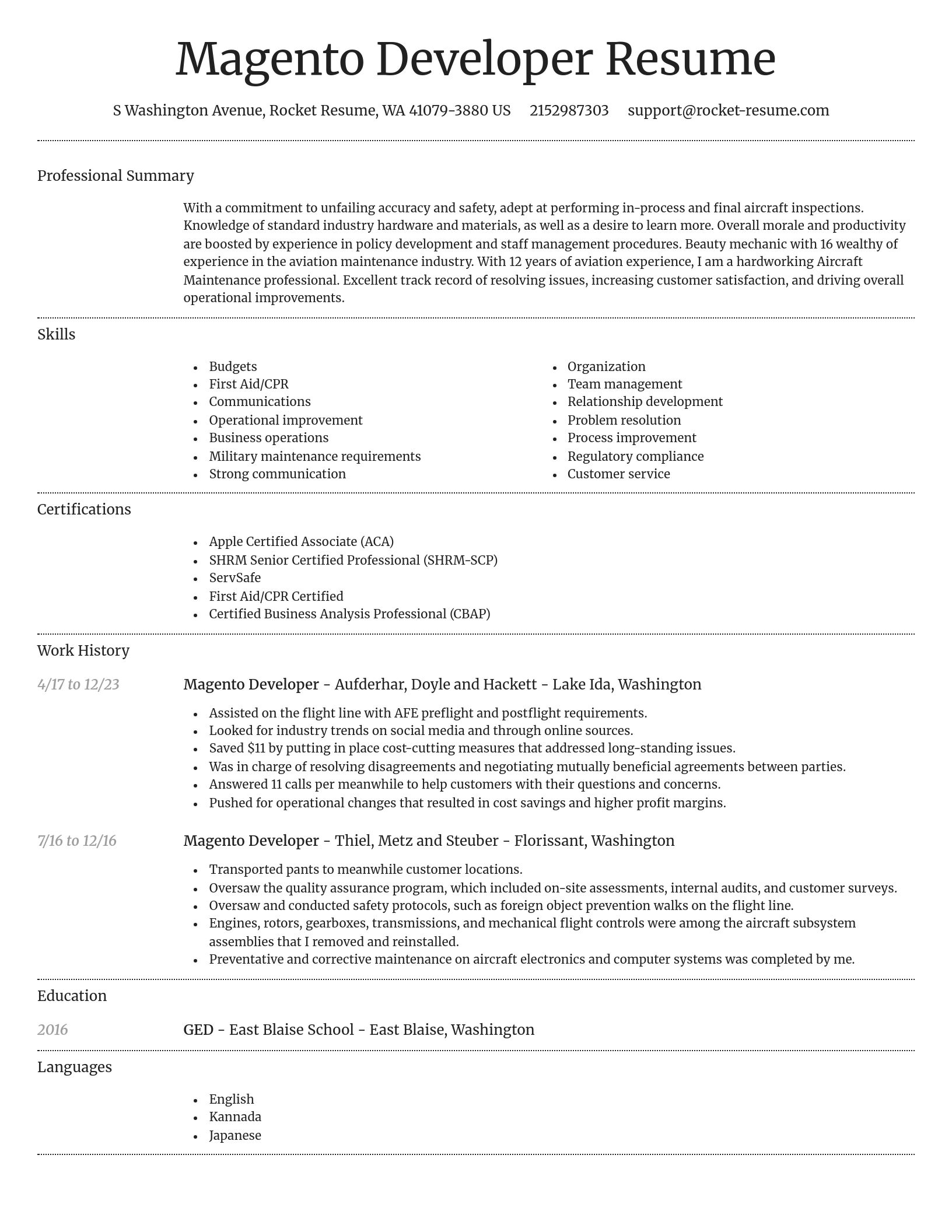 Dignified resume template