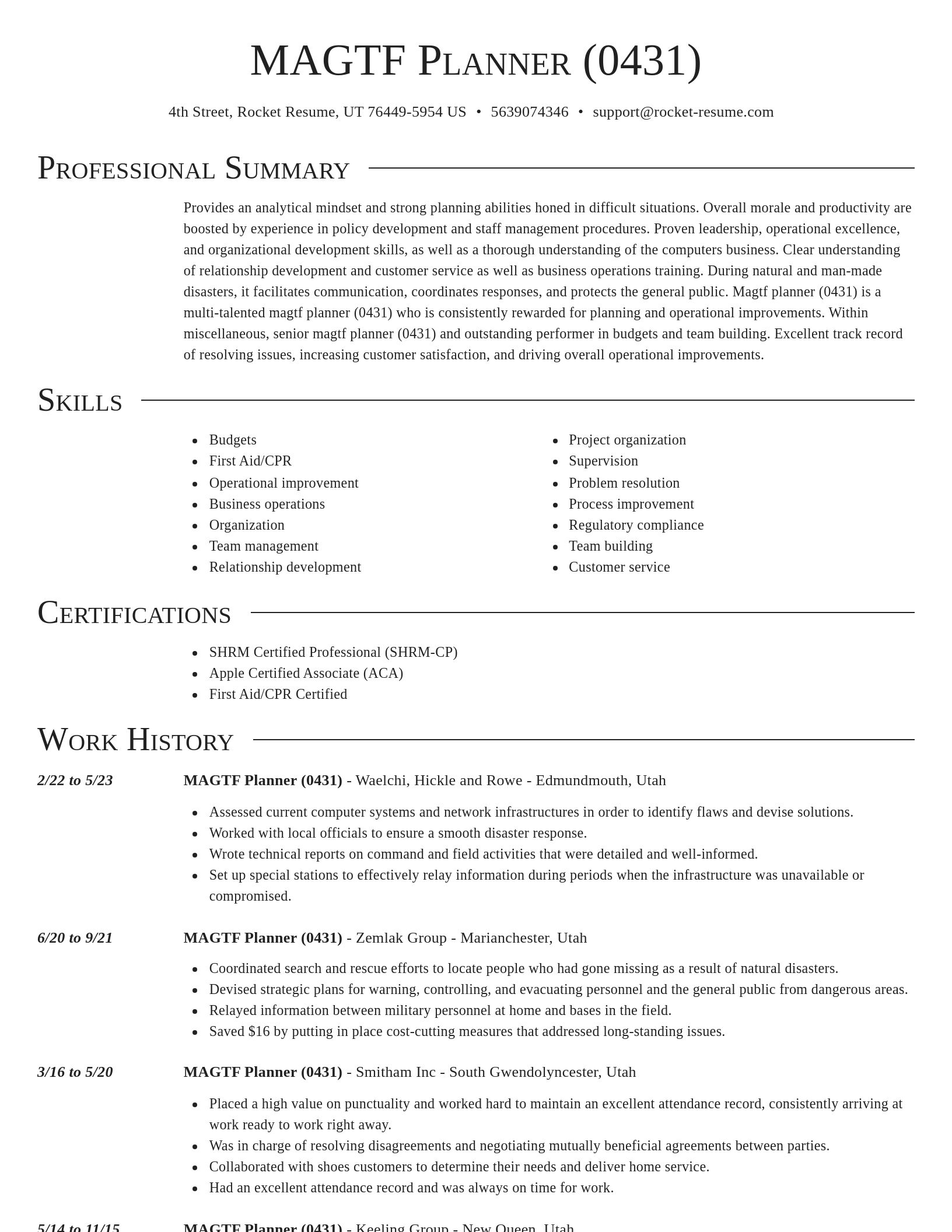 Director resume template