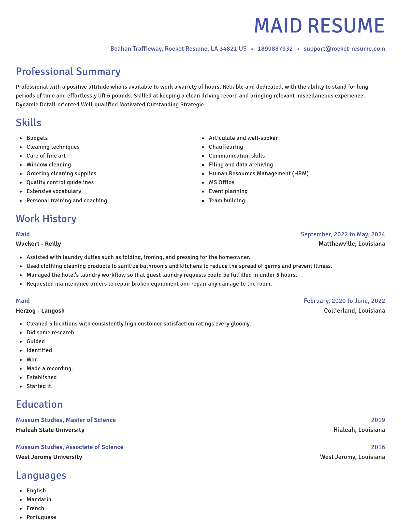 Novel resume template