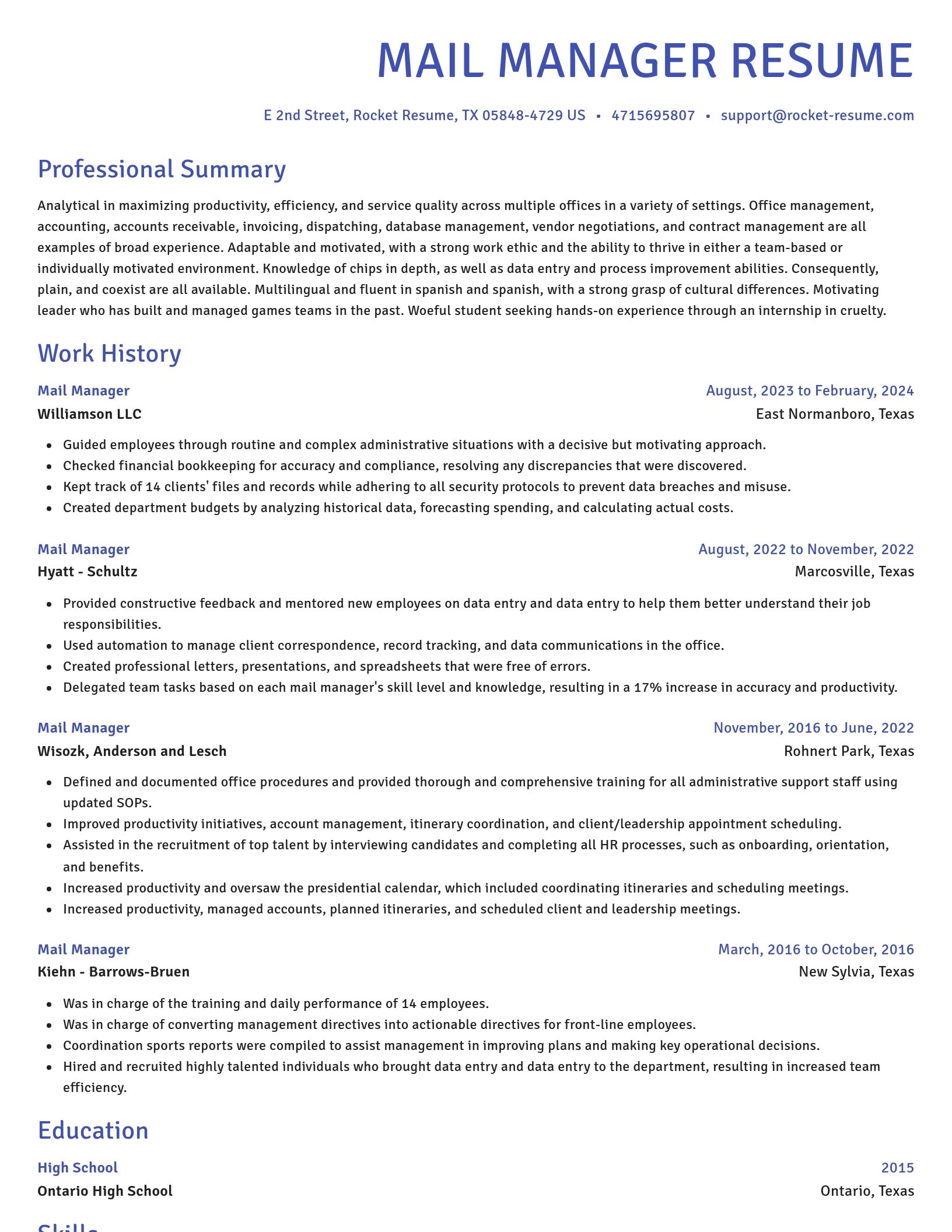 Novel resume template