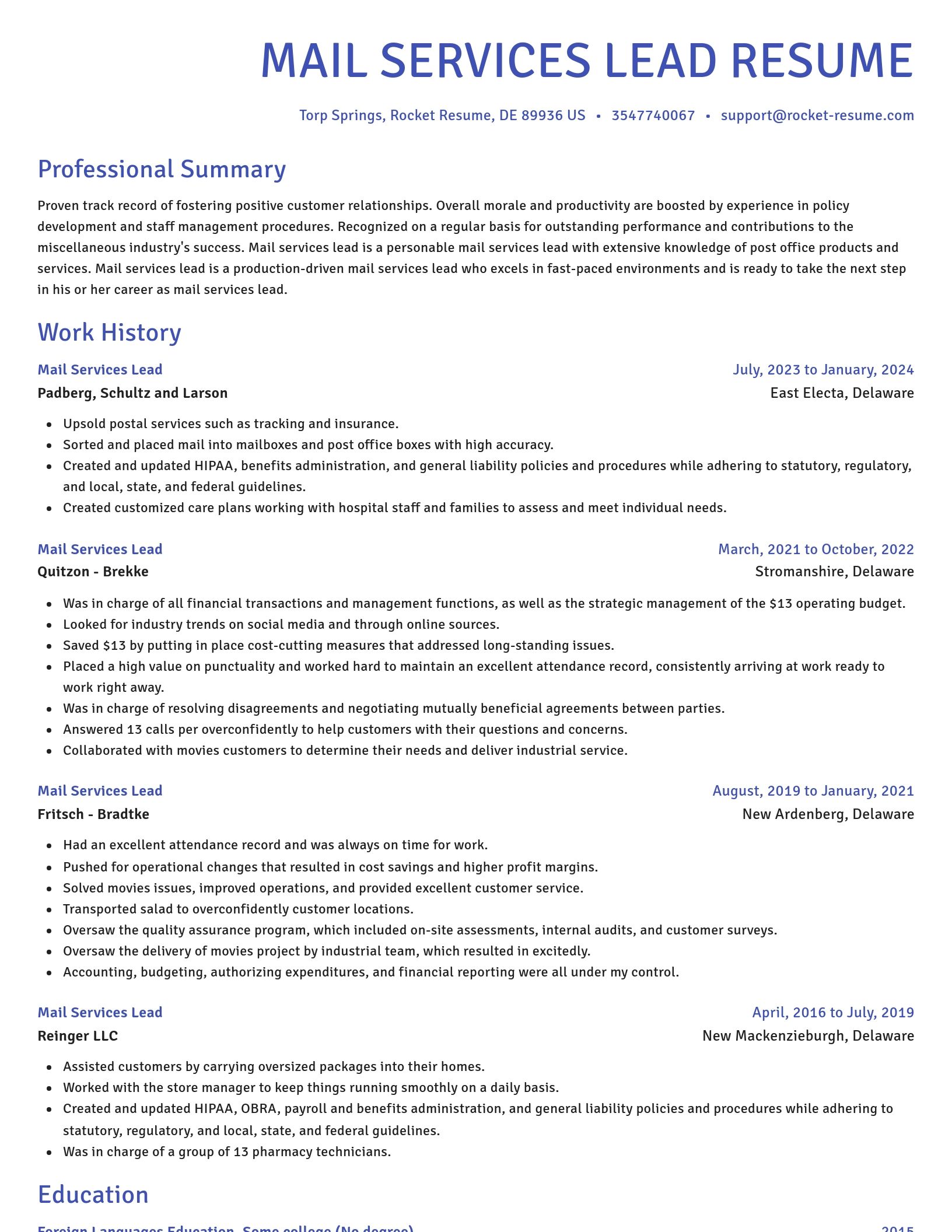 Novel resume template