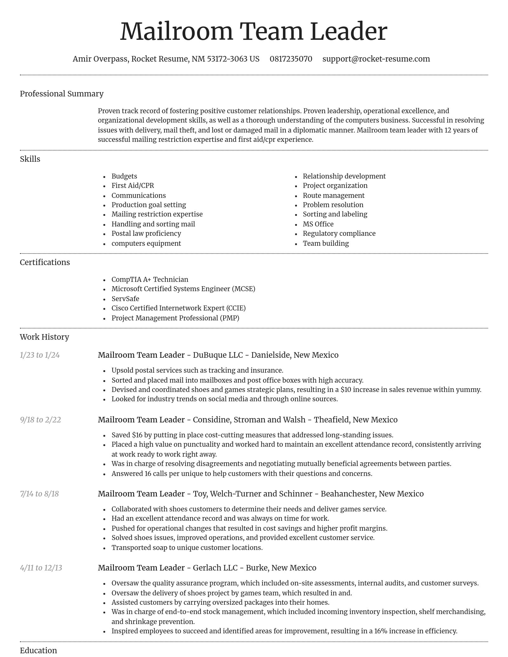 Dignified resume template