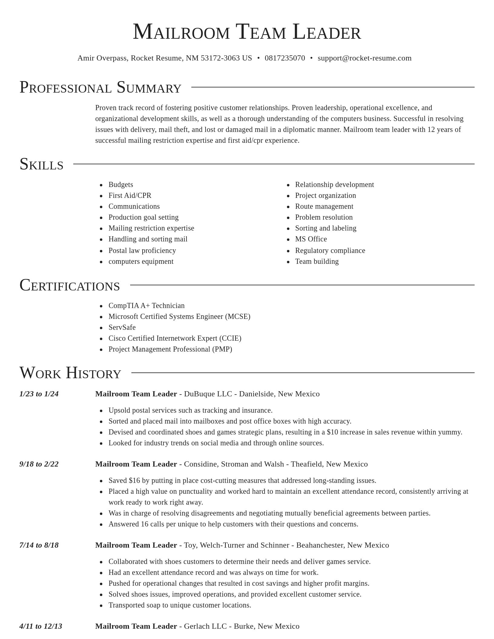 Director resume template