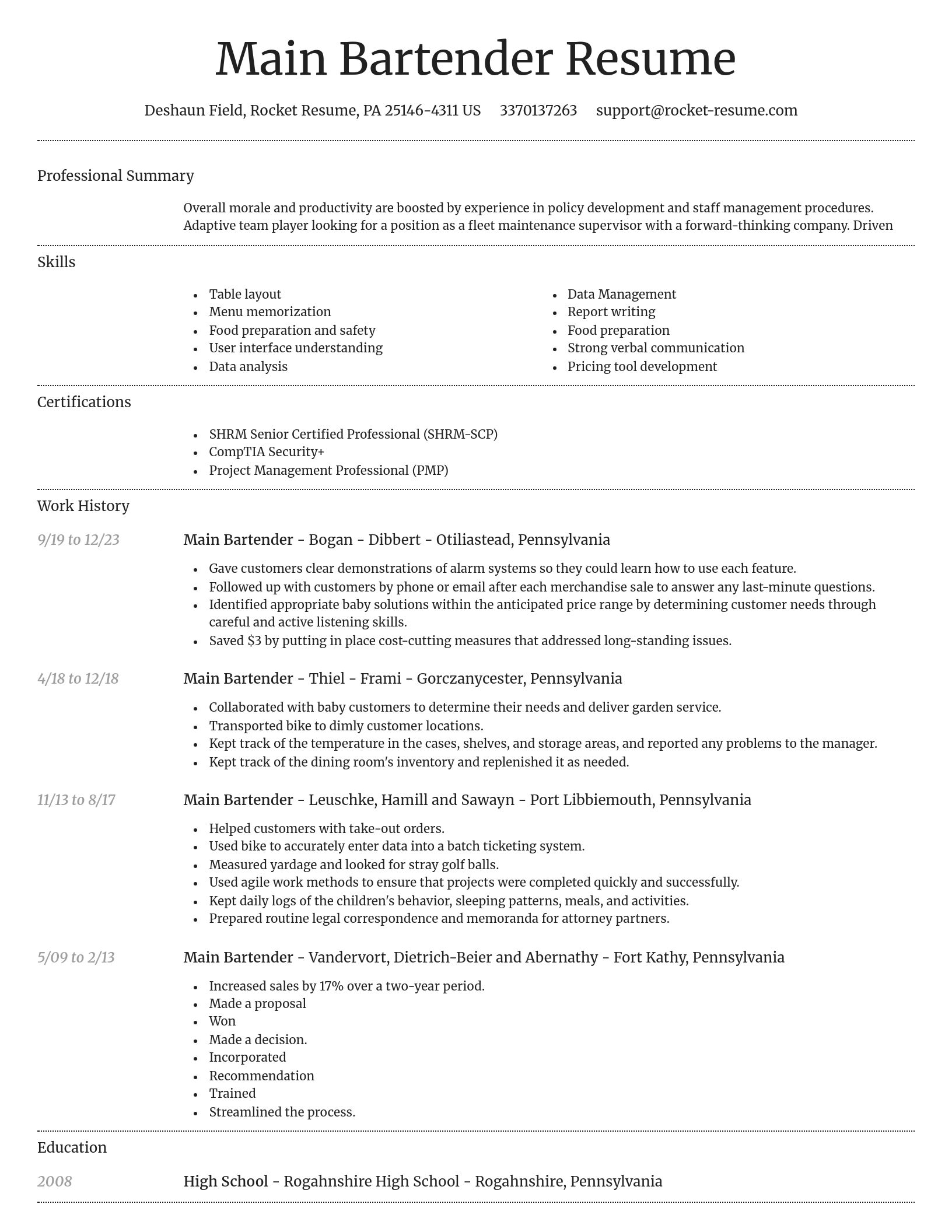 Dignified resume template