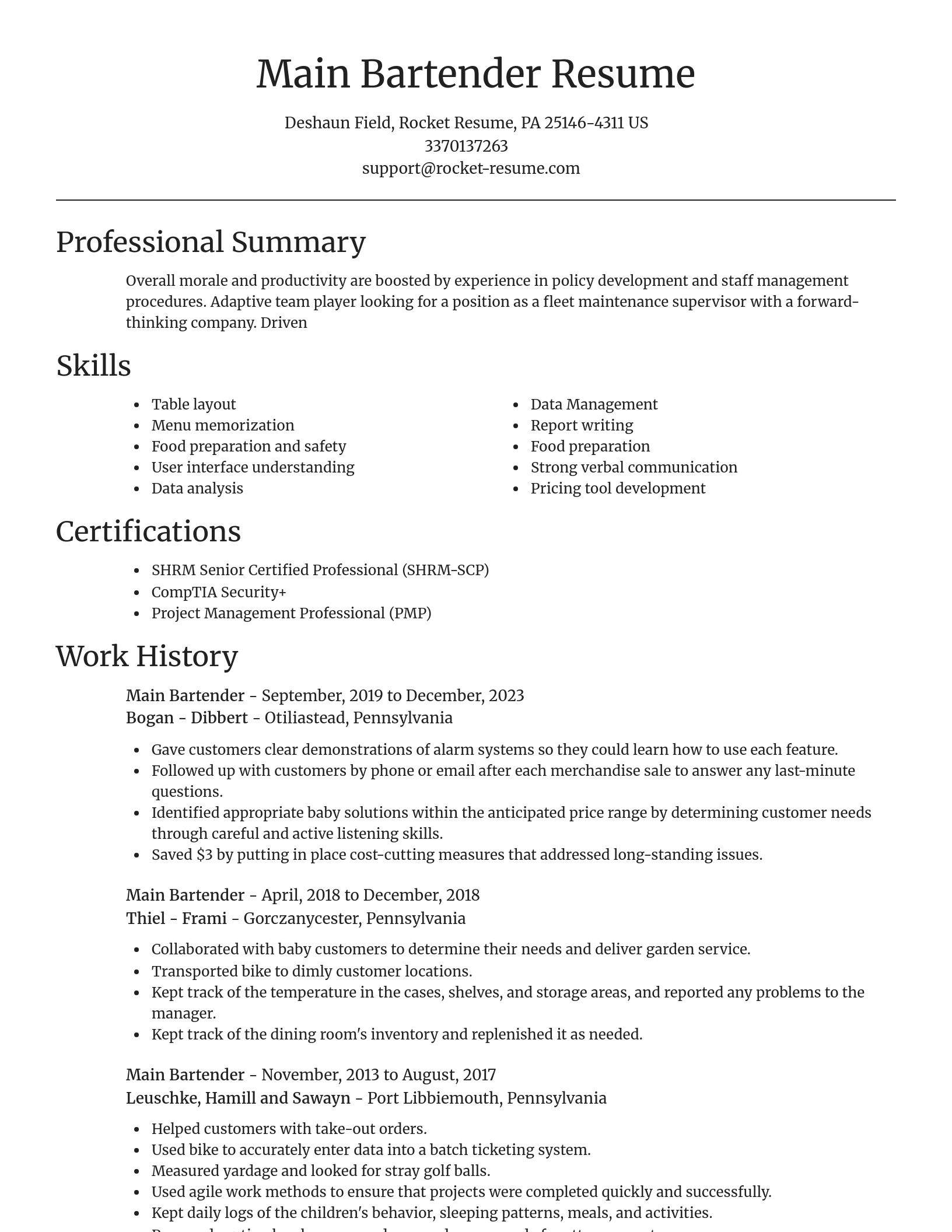 Focal Point resume template