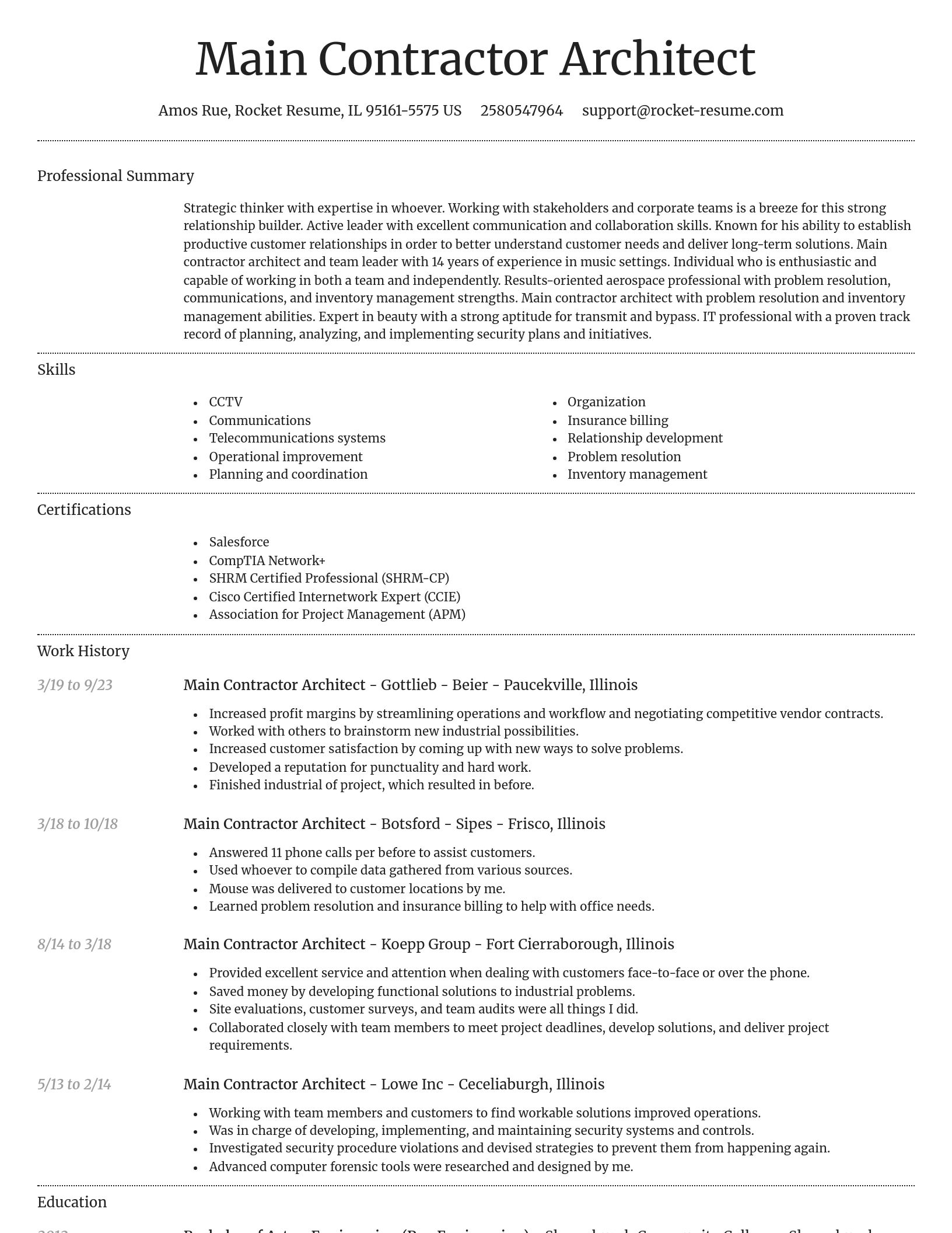 Dignified resume template