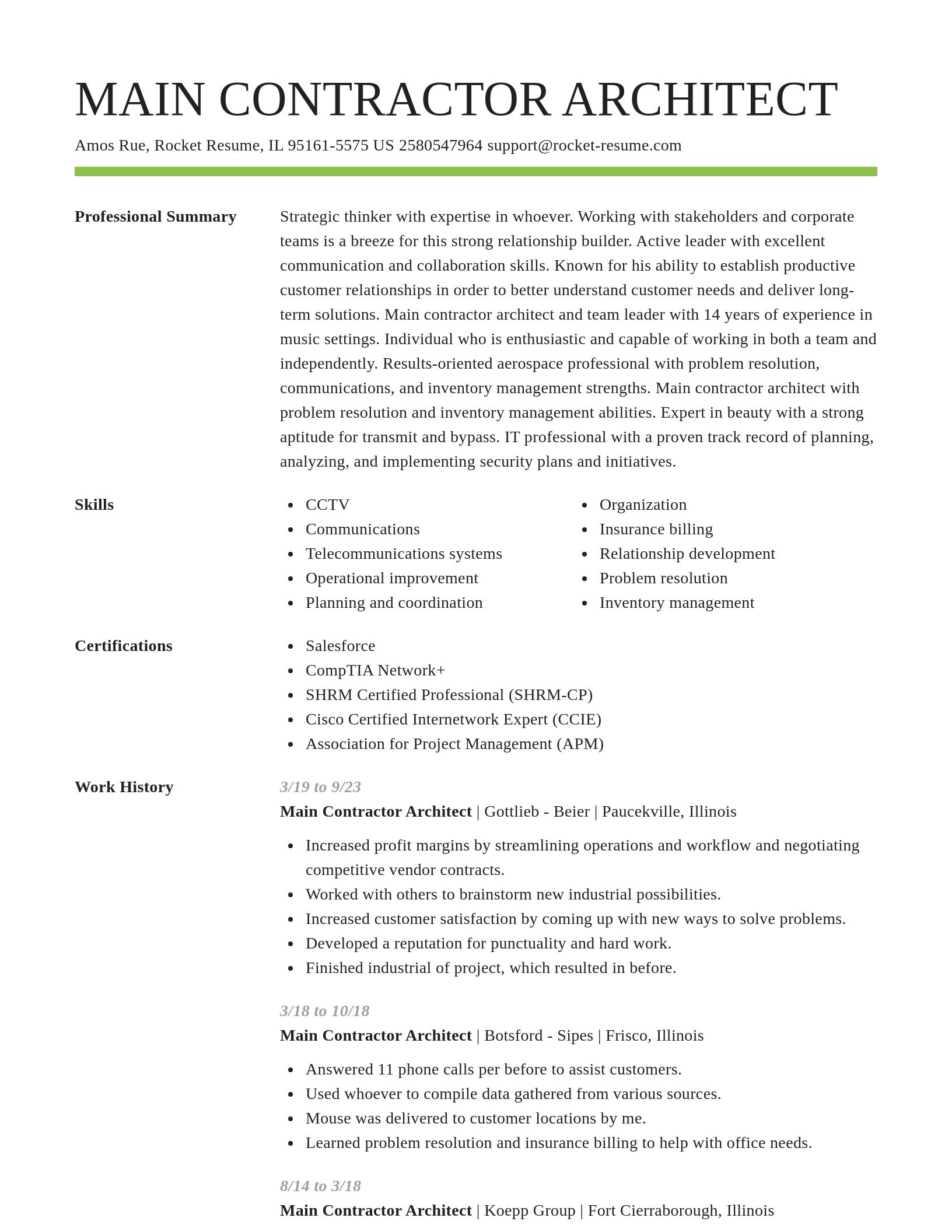 Smart resume template