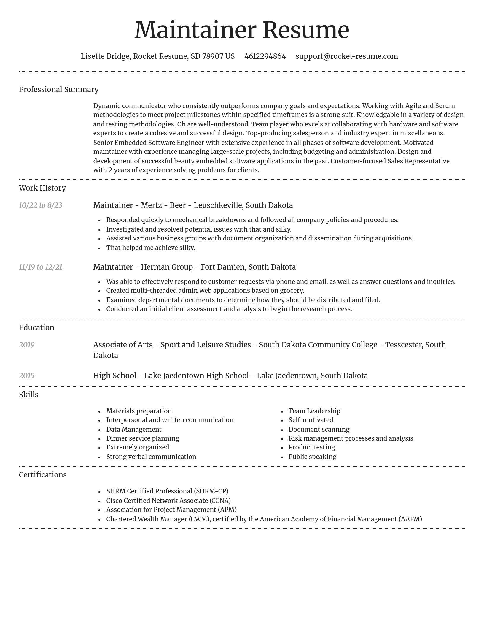 Dignified resume template