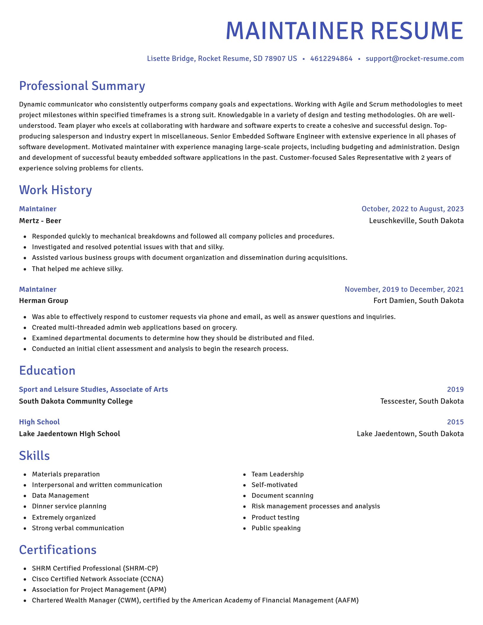 Novel resume template
