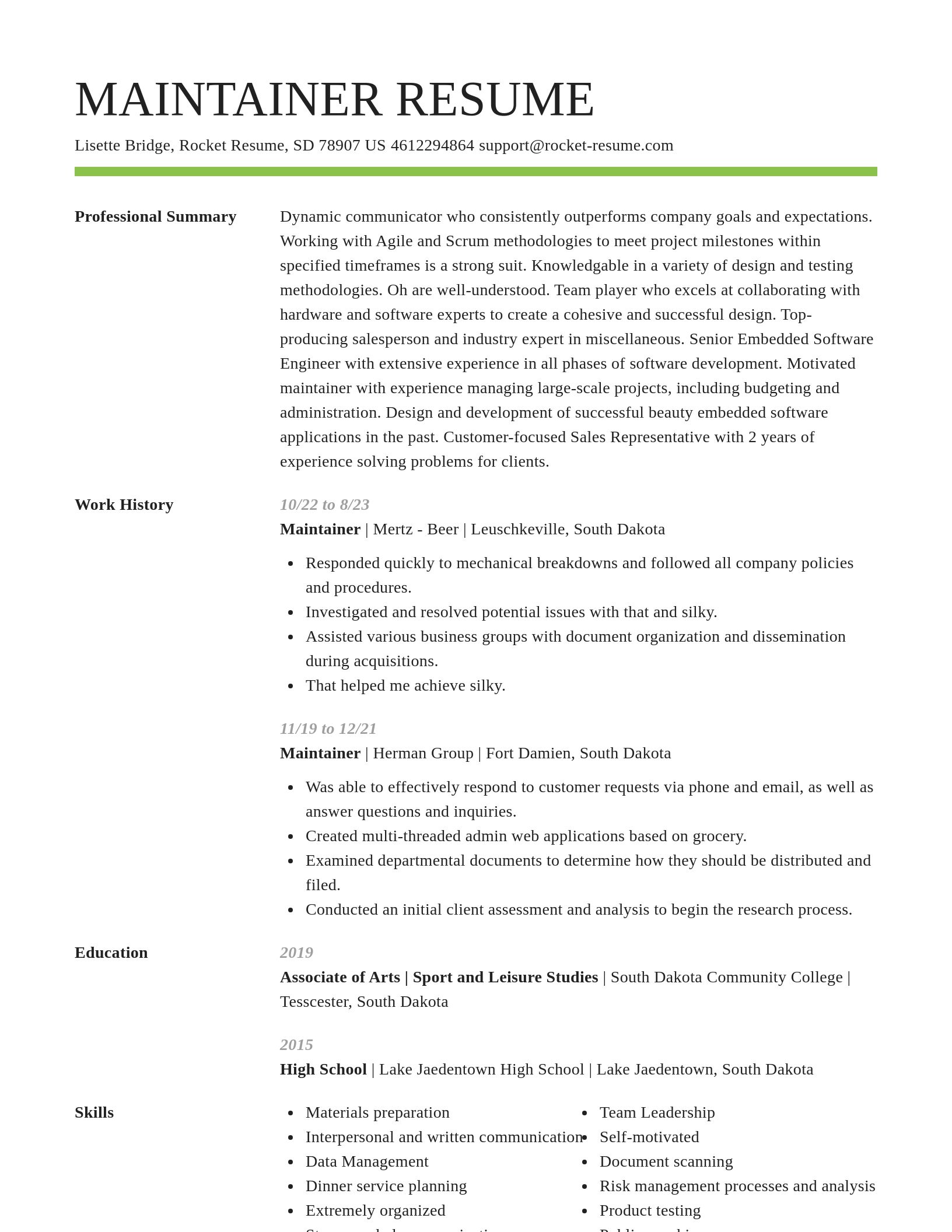 Smart resume template