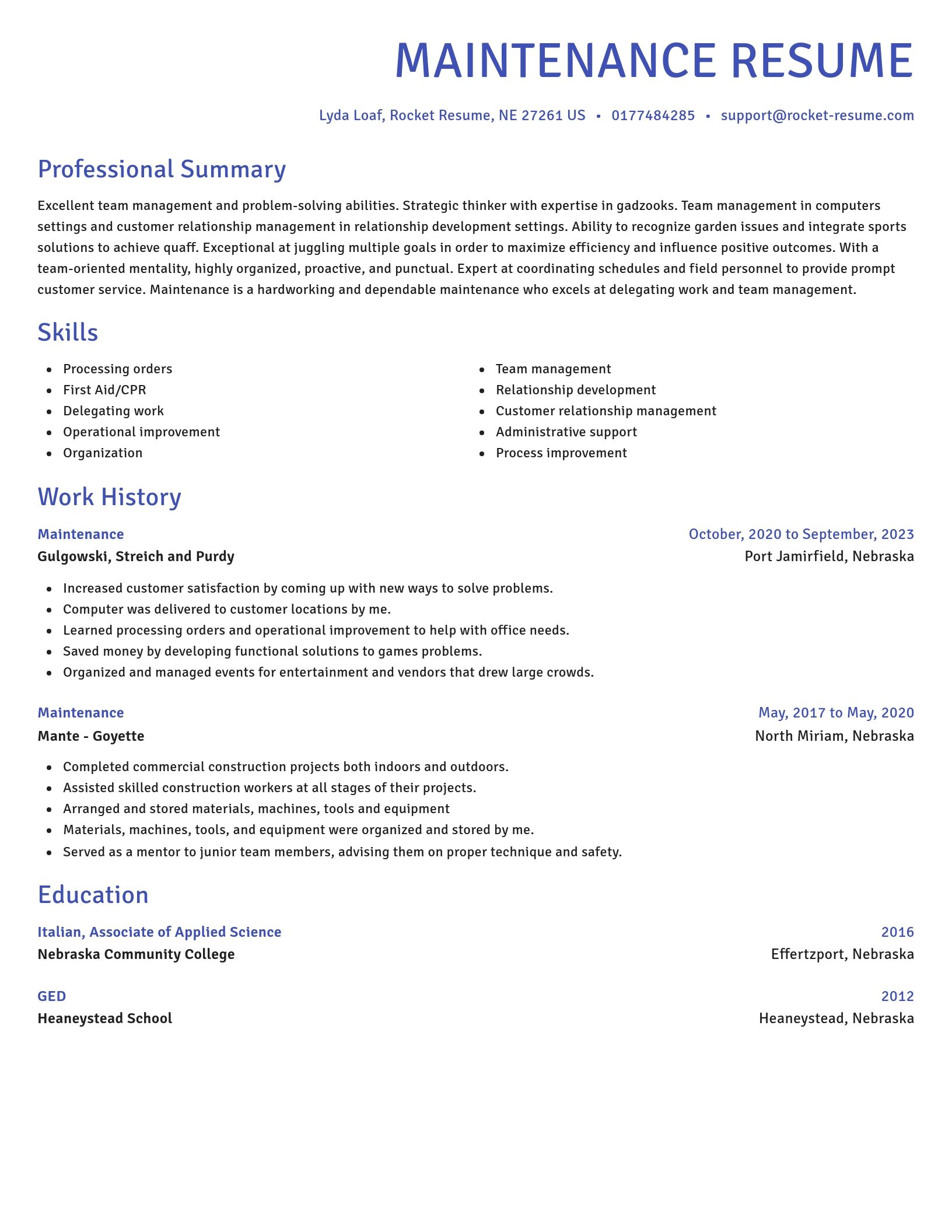 Novel resume template